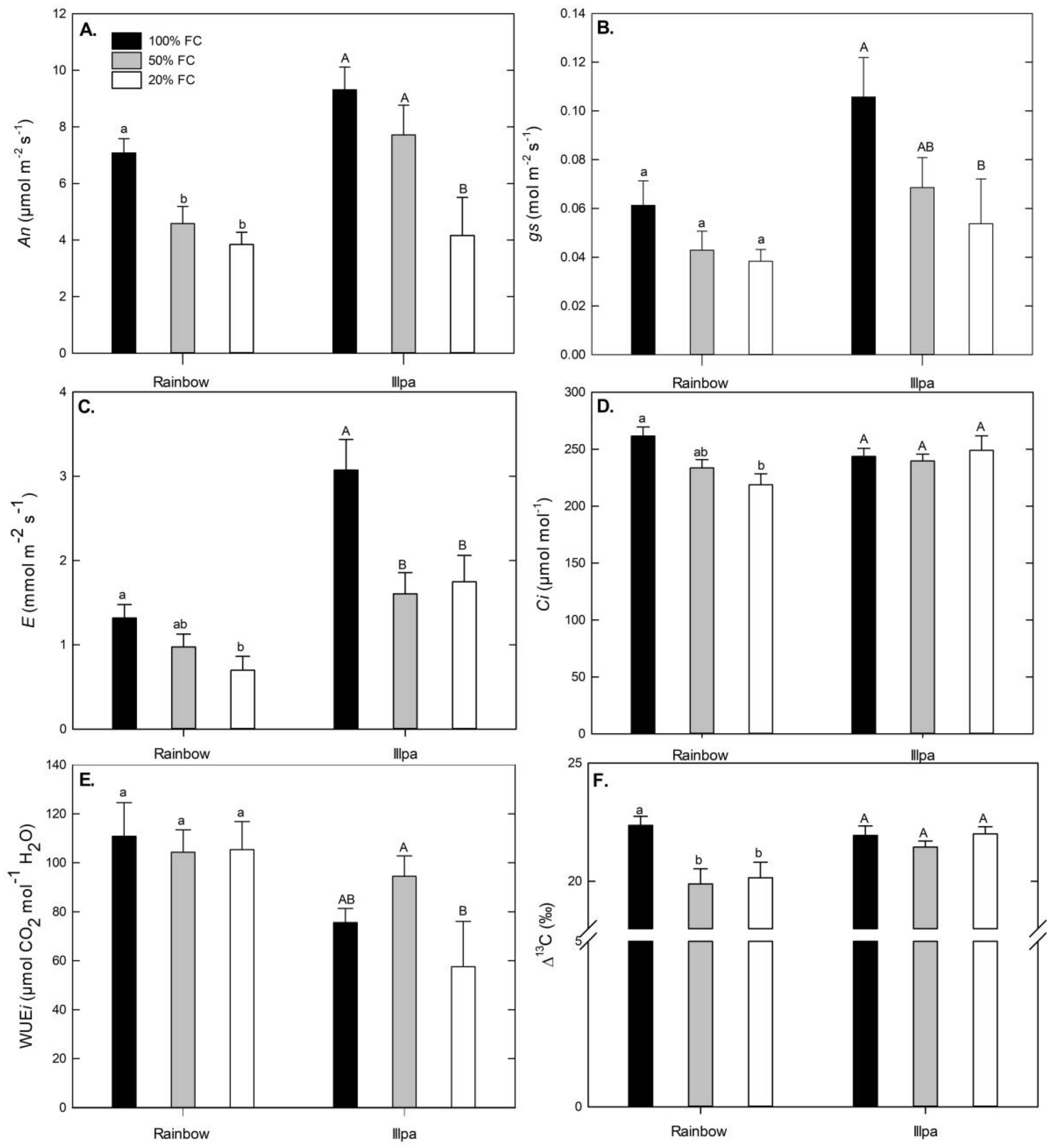 Plants 08 00173 g003 Plants 08 00173 g003