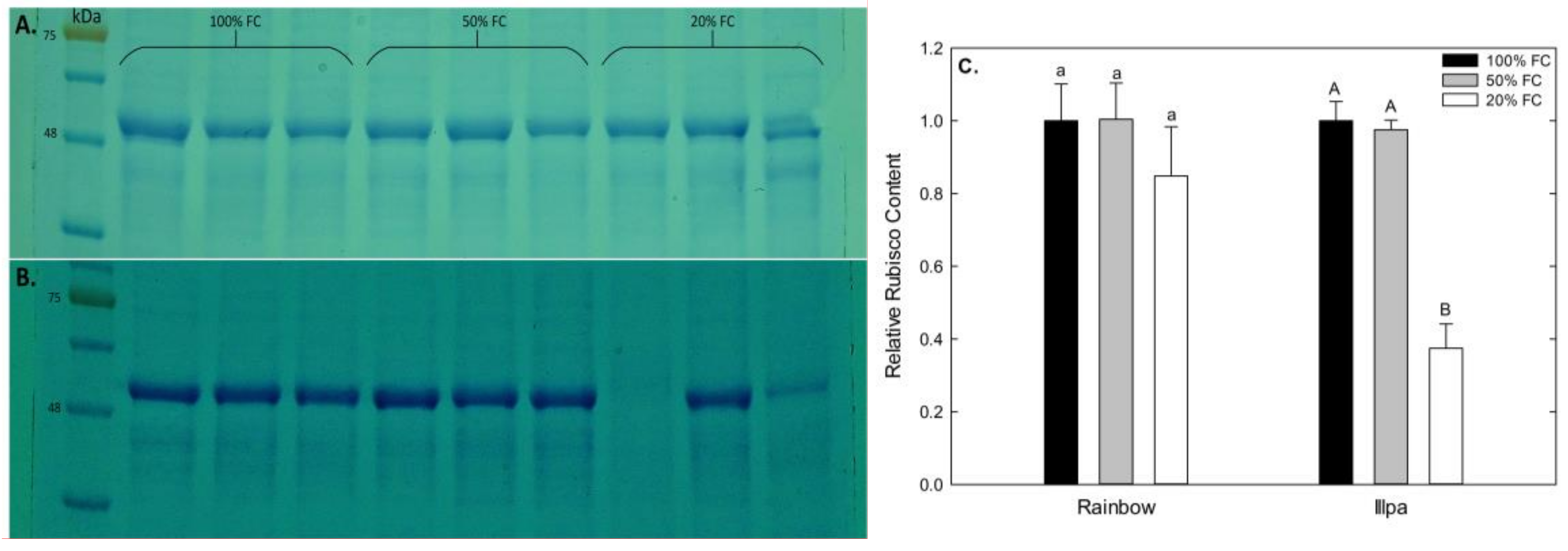 Plants 08 00173 g005 Plants 08 00173 g005