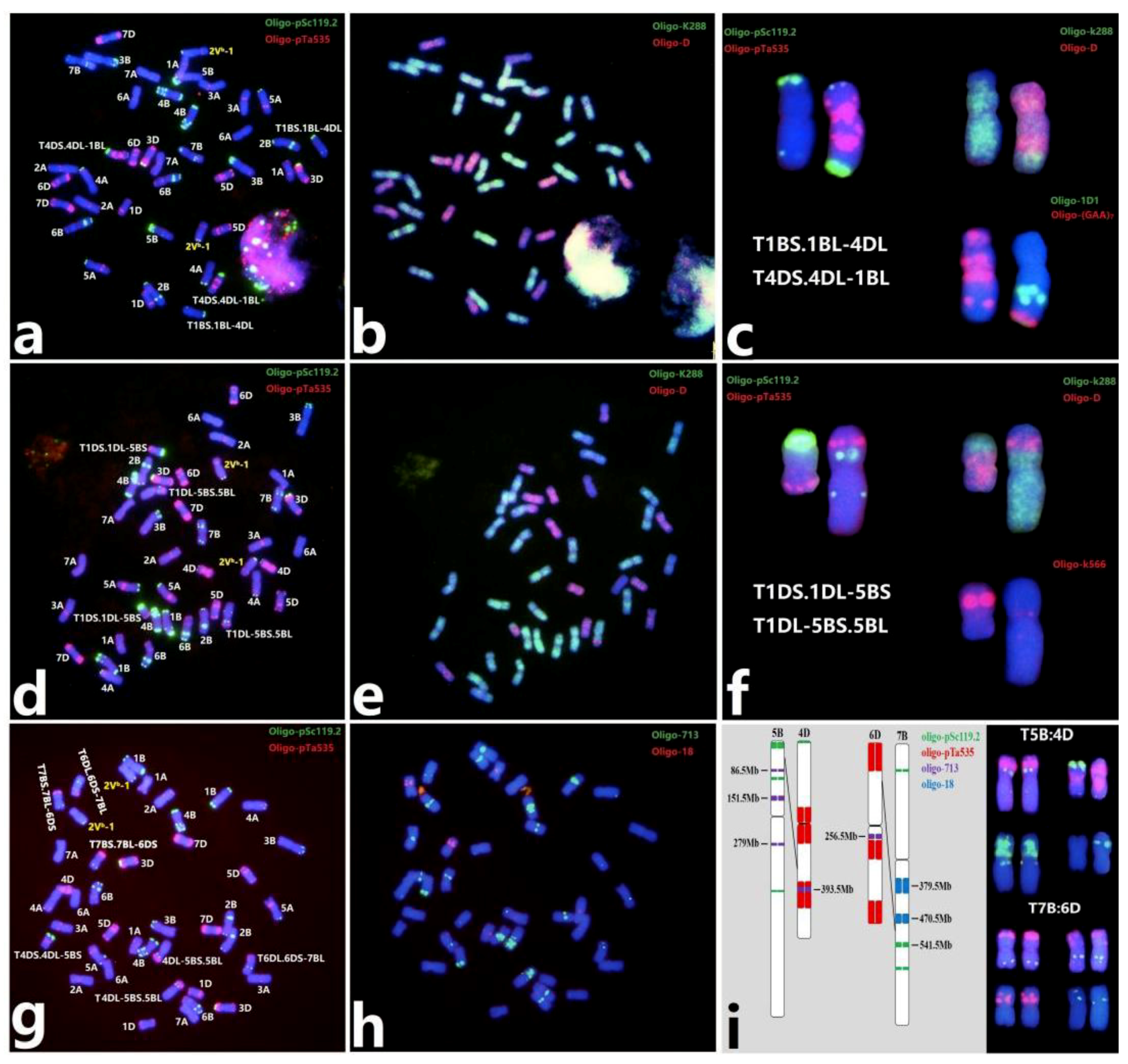 Plants 08 00175 g004