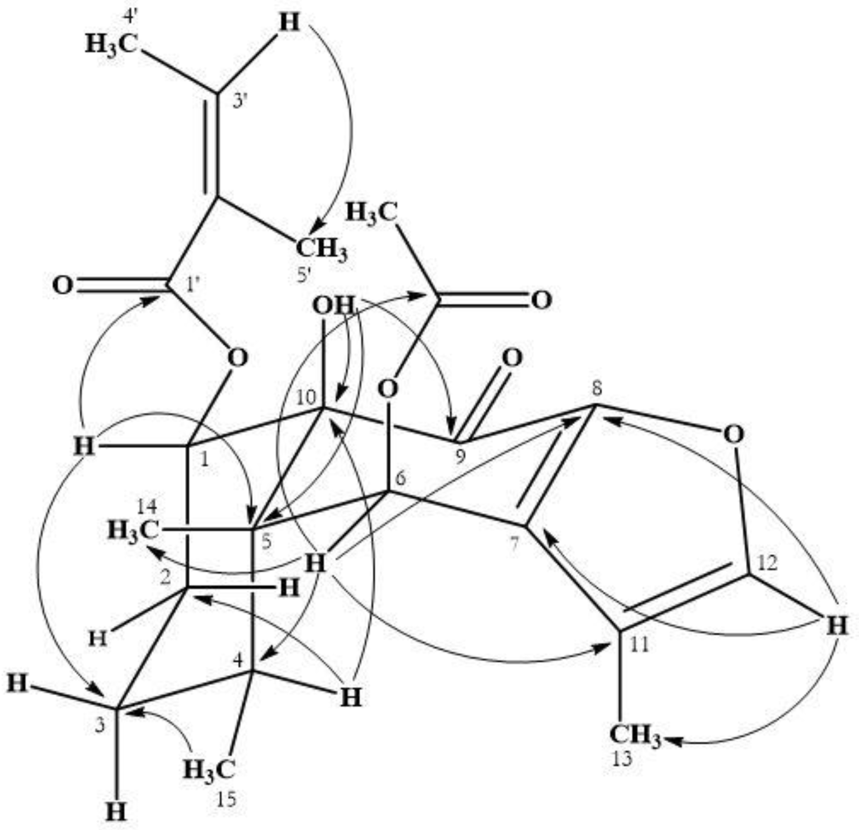 Plants 08 00176 g002