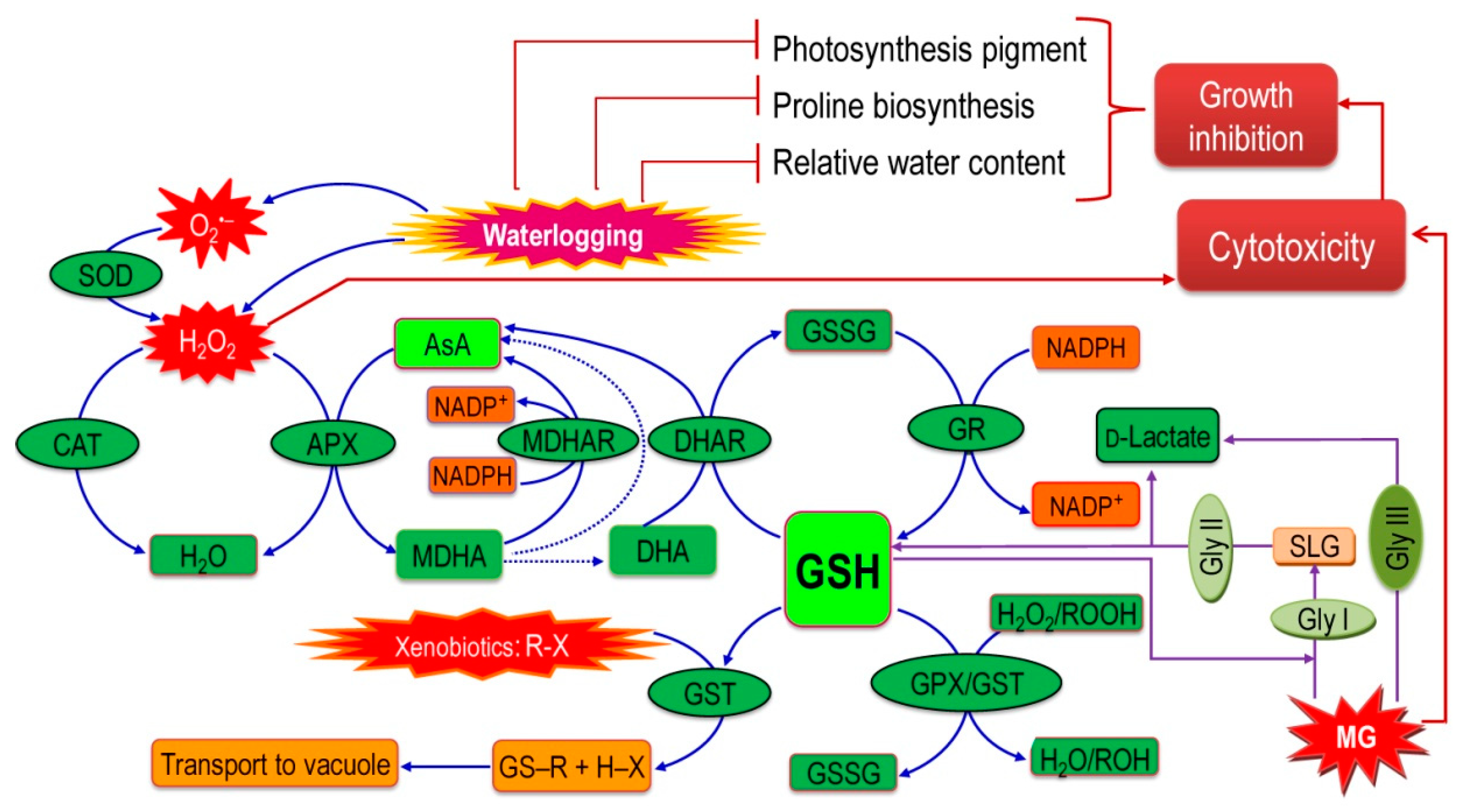 Plants 08 00196 g009