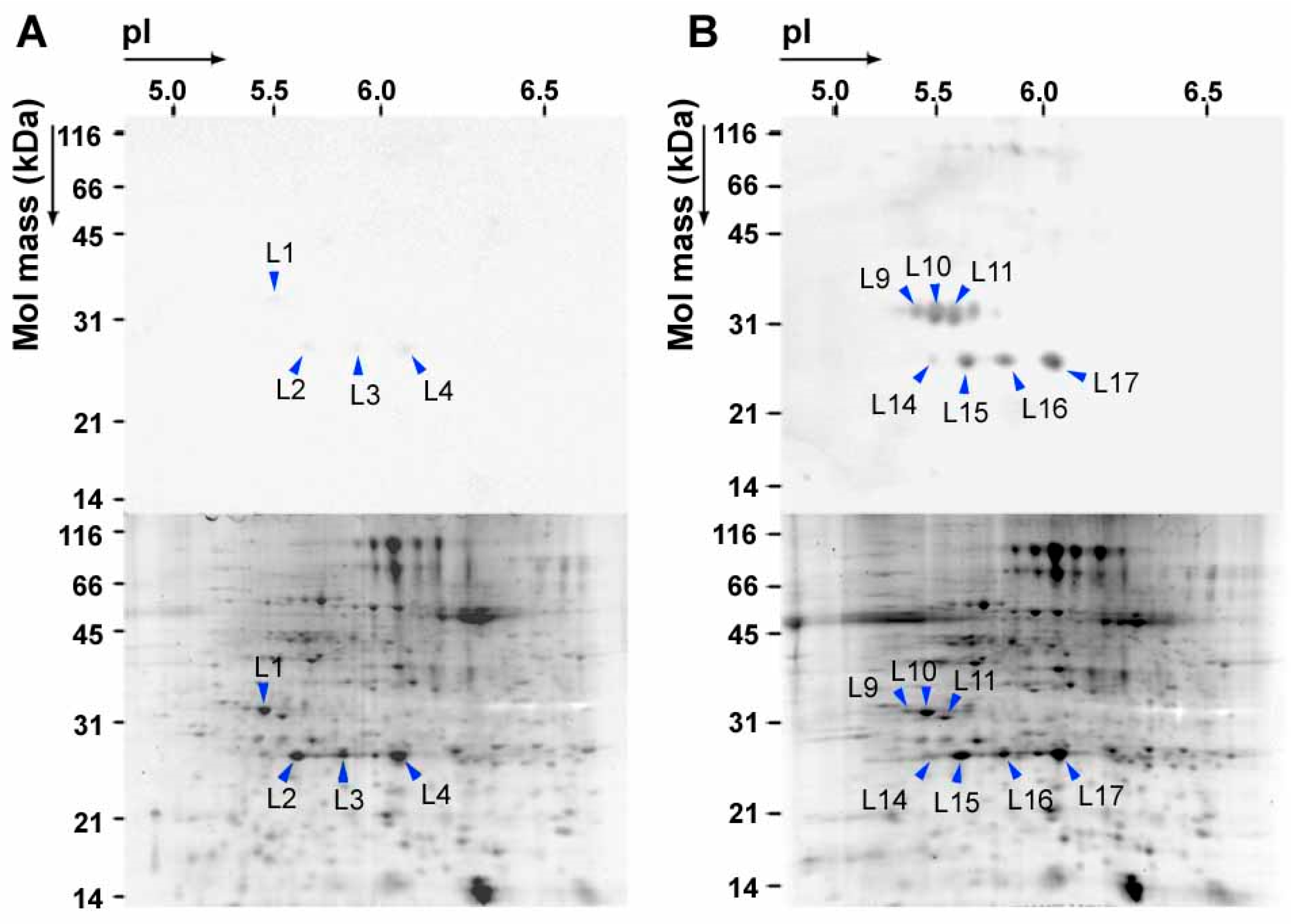 Plants 08 00198 g003