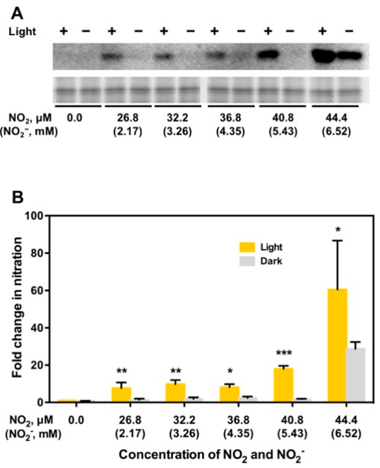 Plants 08 00198 g005