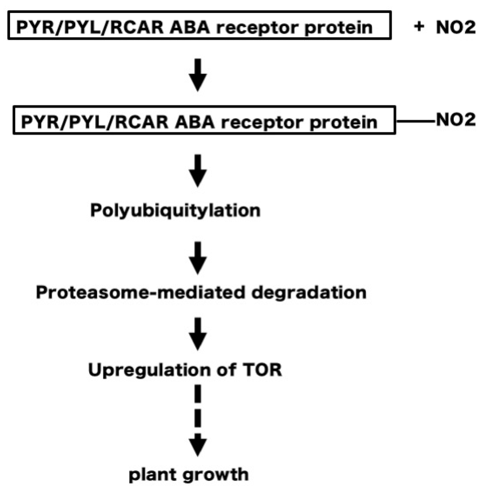 Plants 08 00198 g009