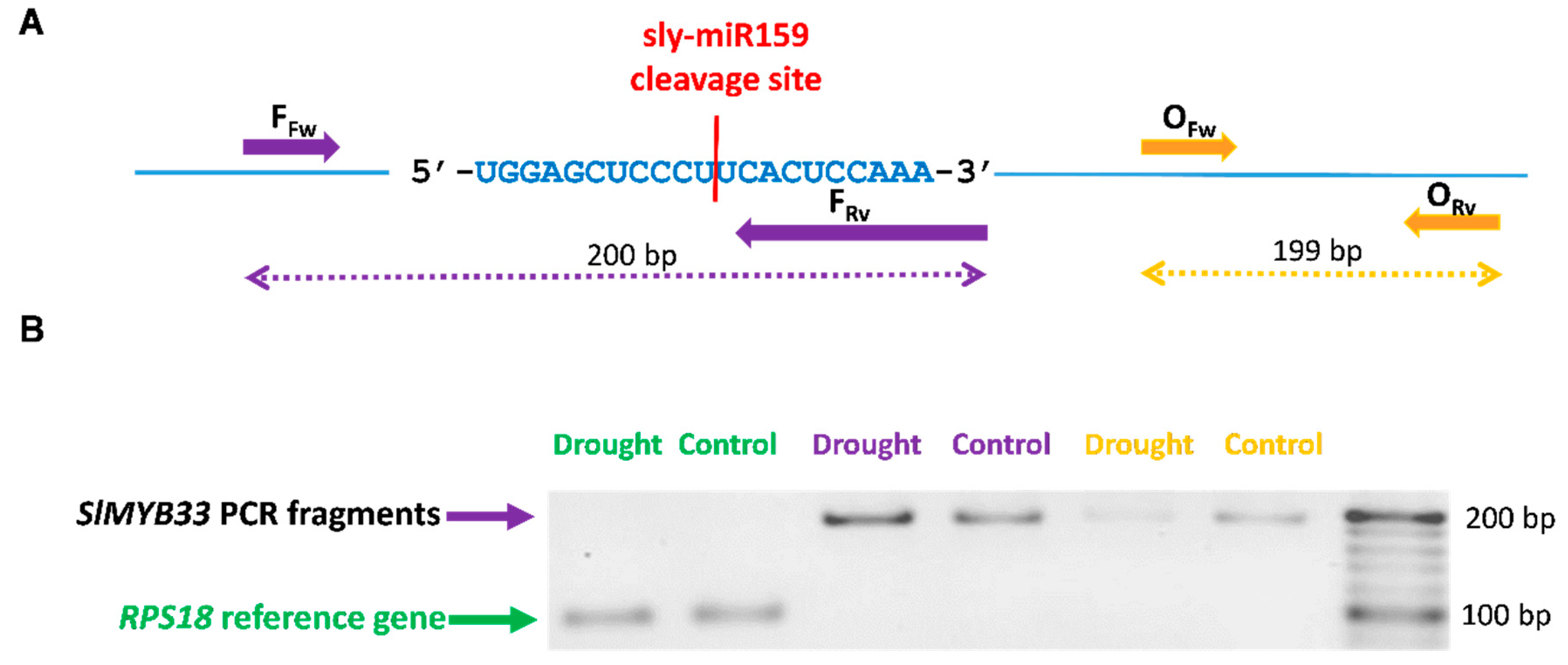 Plants 08 00201 g002