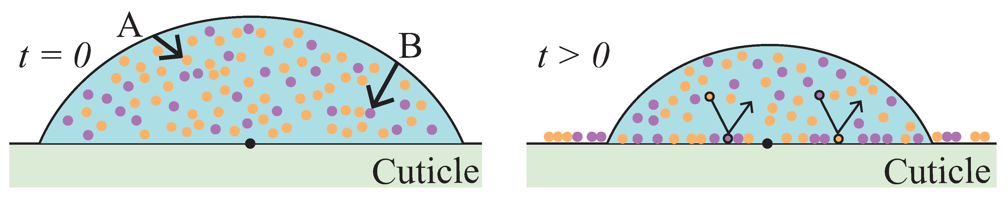 Plants 08 00202 g001