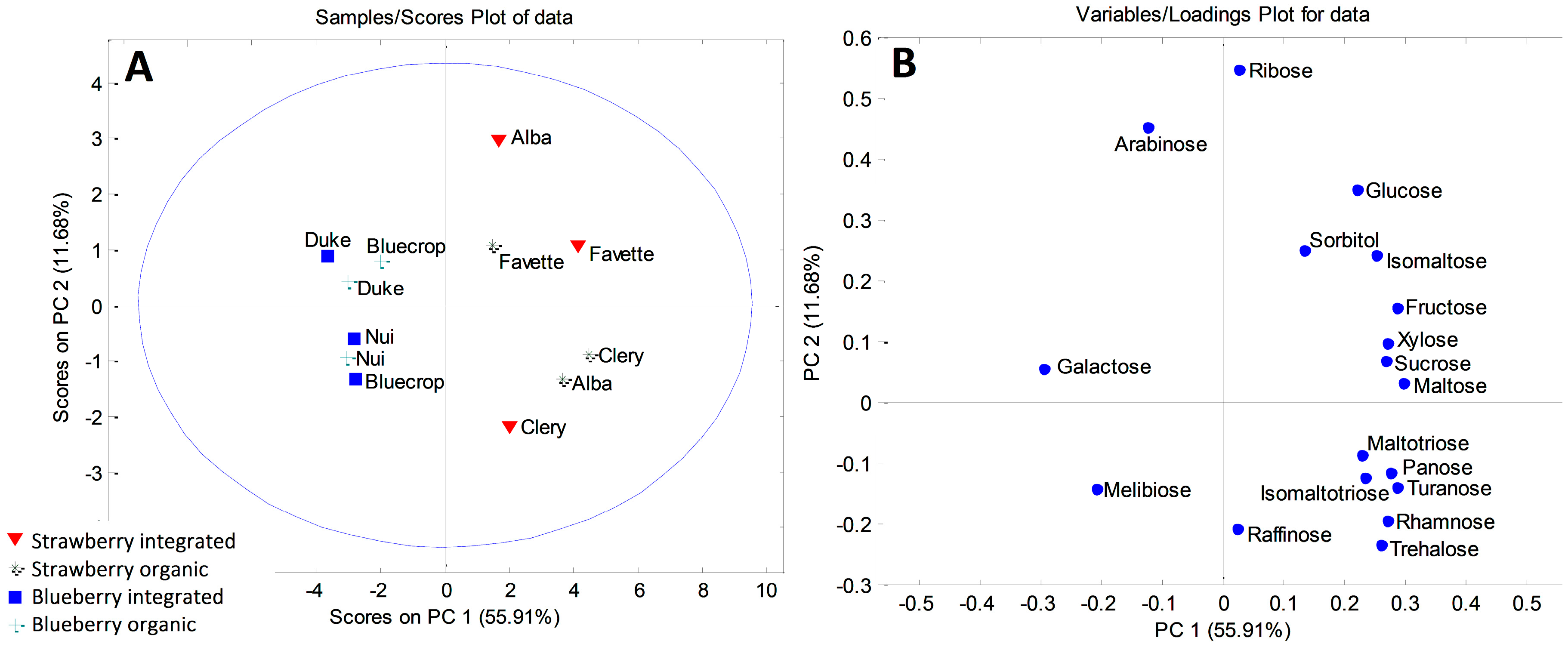 Plants 08 00205 g001