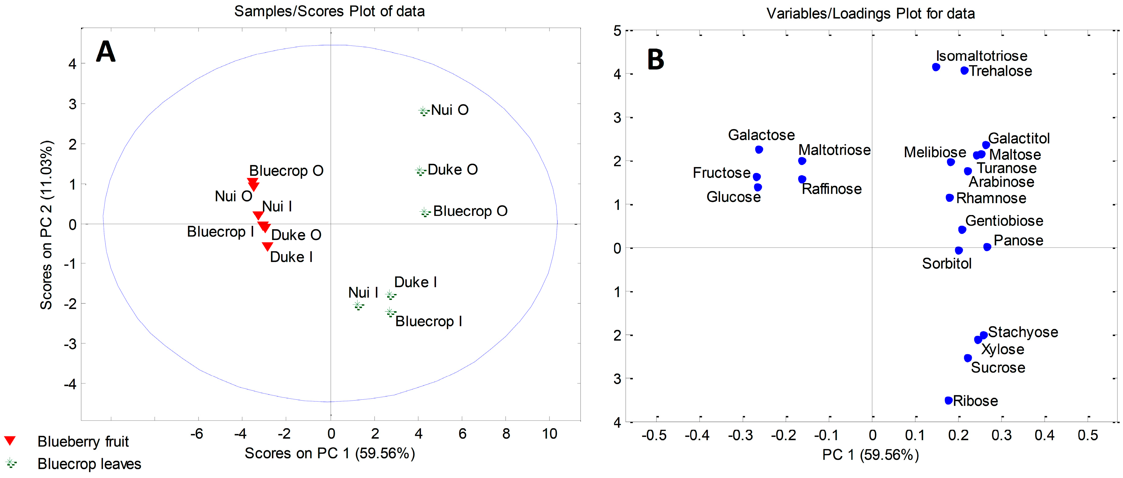 Plants 08 00205 g004