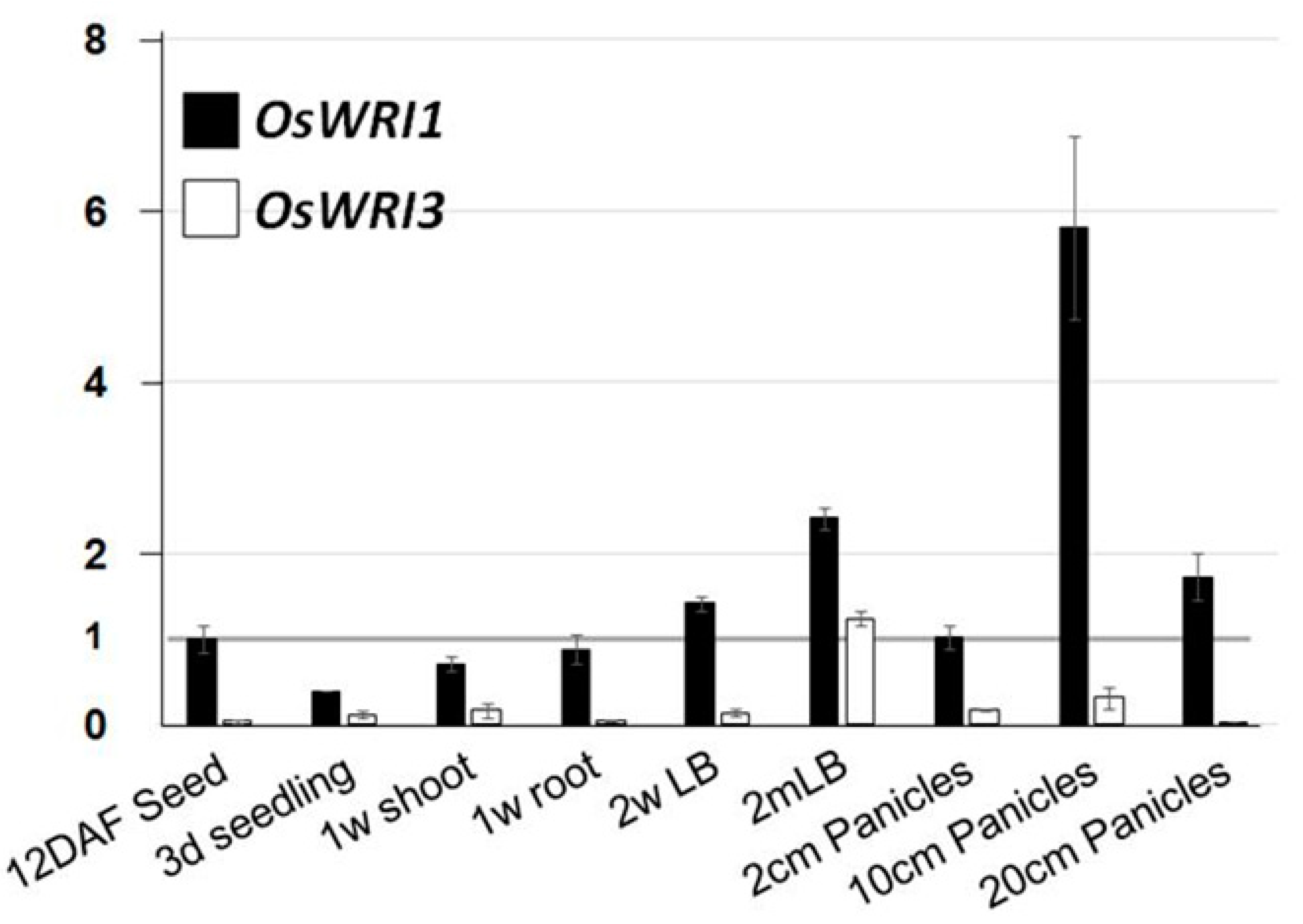 Plants 08 00207 g002