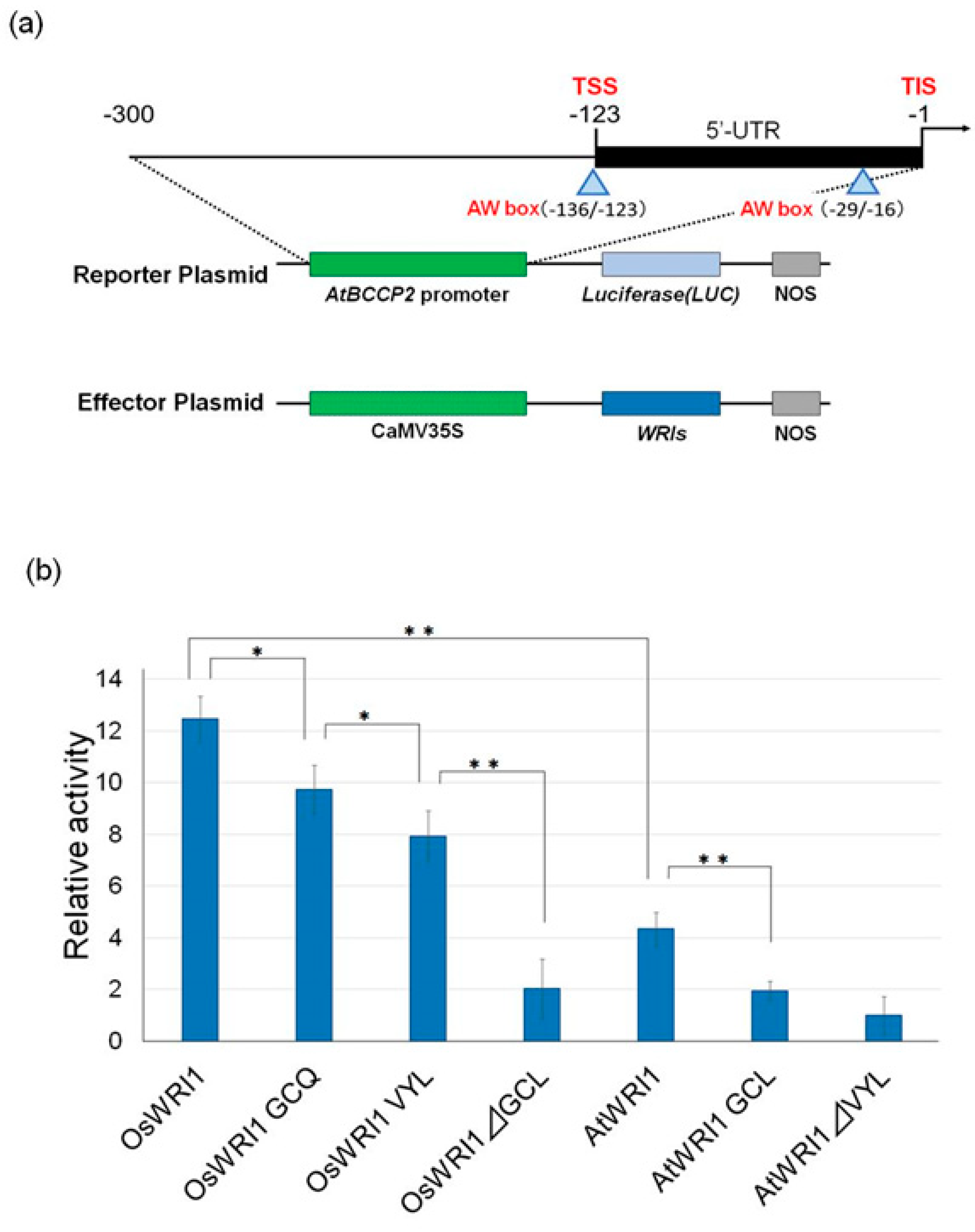 Plants 08 00207 g006