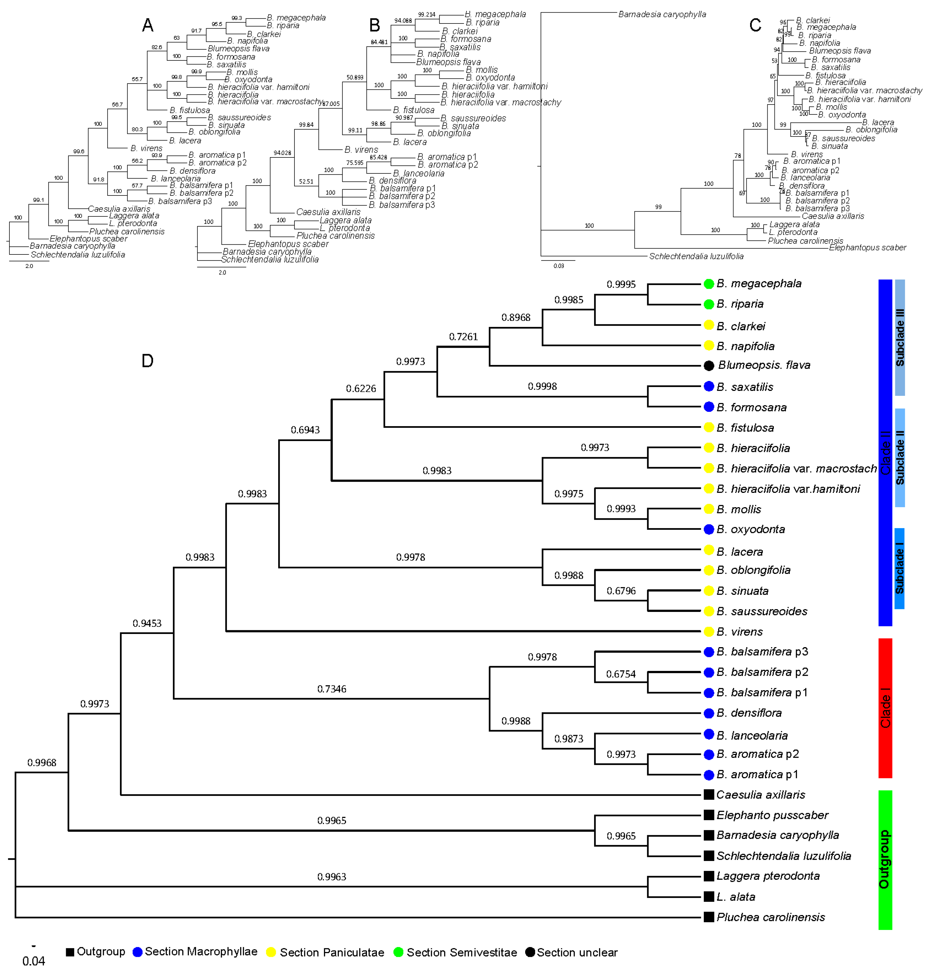 Plants 08 00210 g003