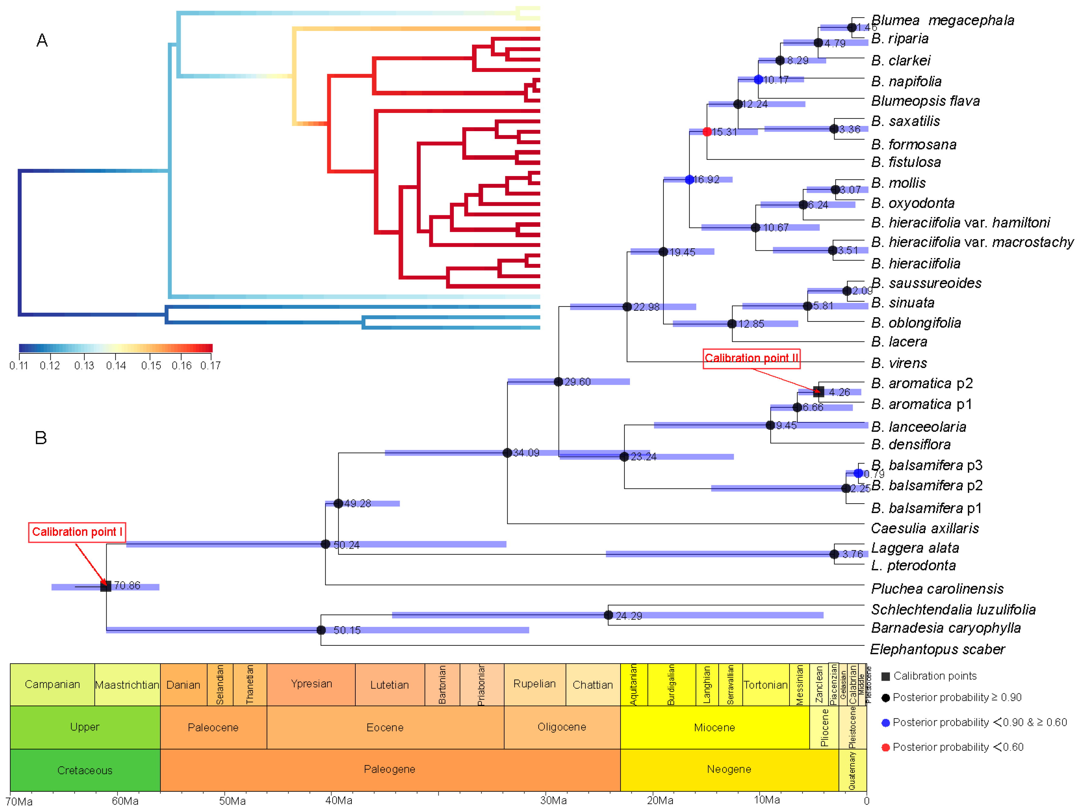 Plants 08 00210 g005