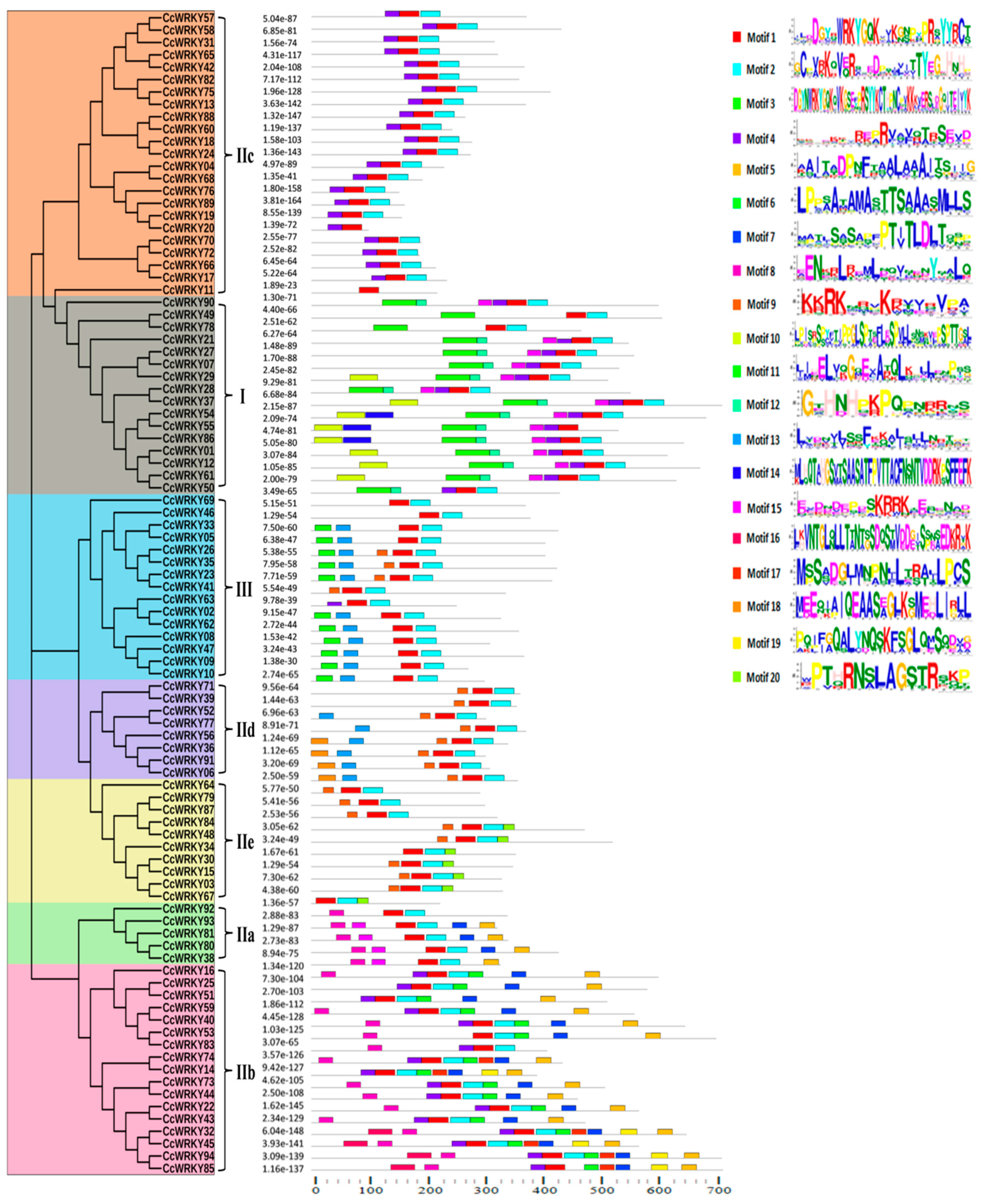 Plants 08 00214 g004