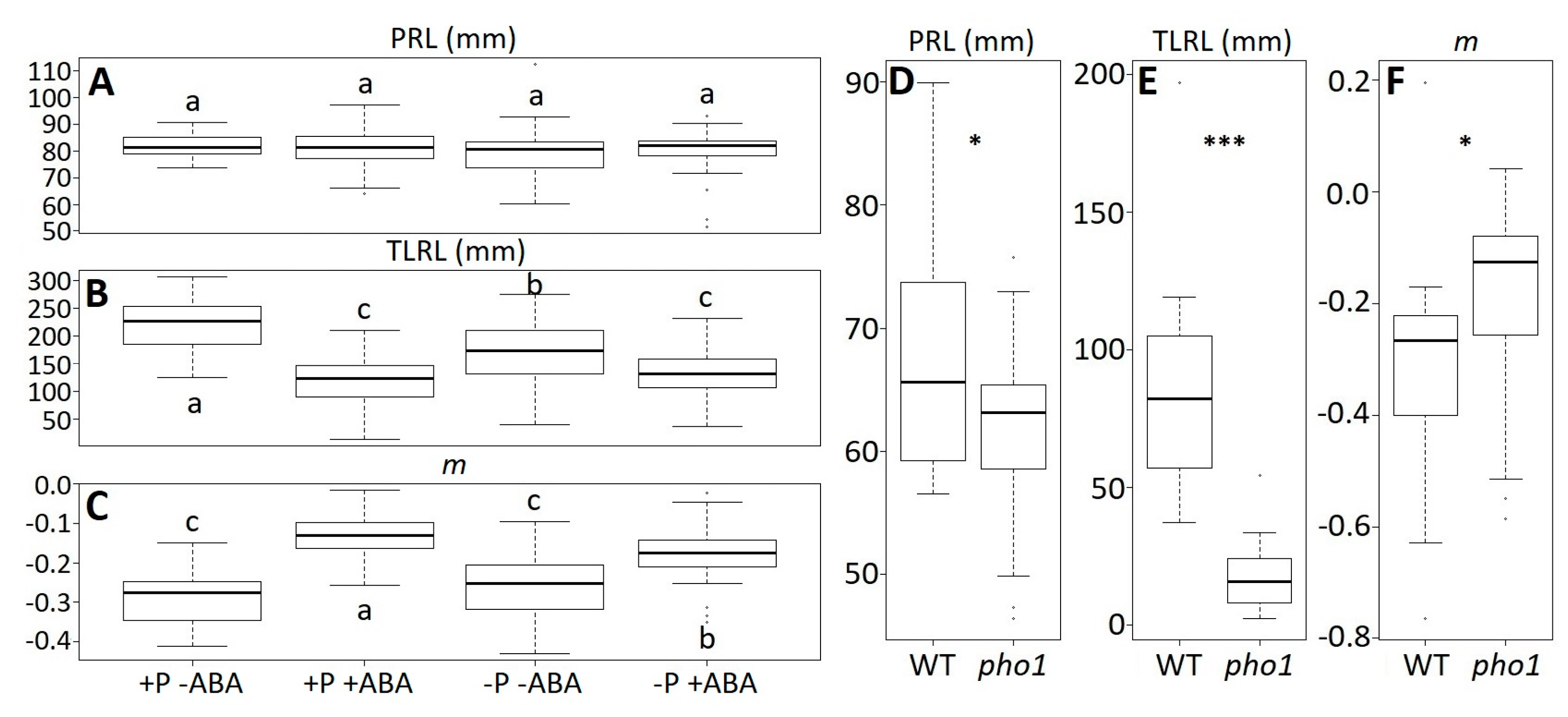 Plants 08 00218 g005