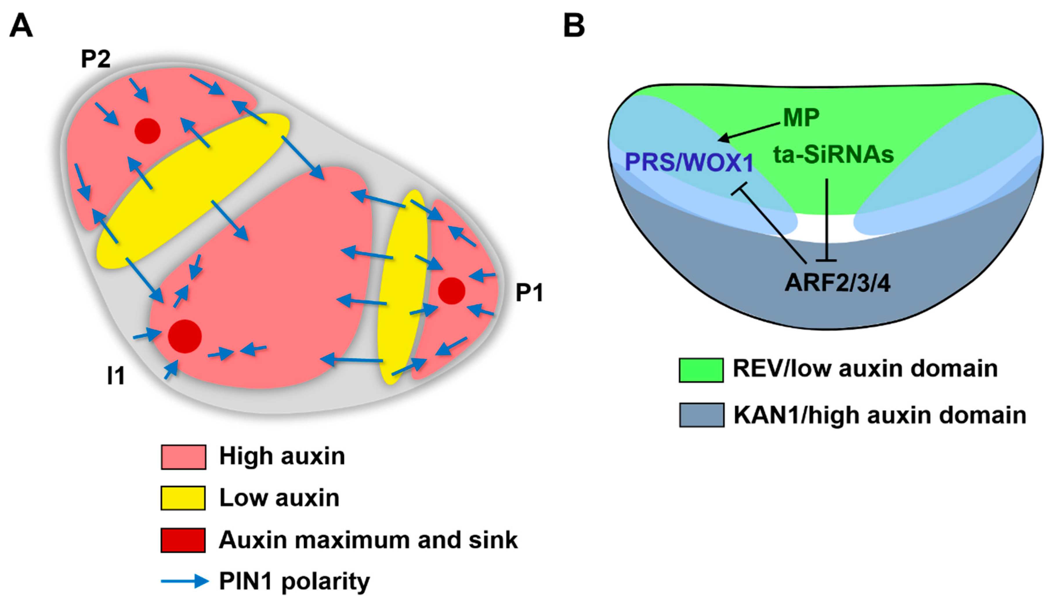 Plants 08 00243 g002