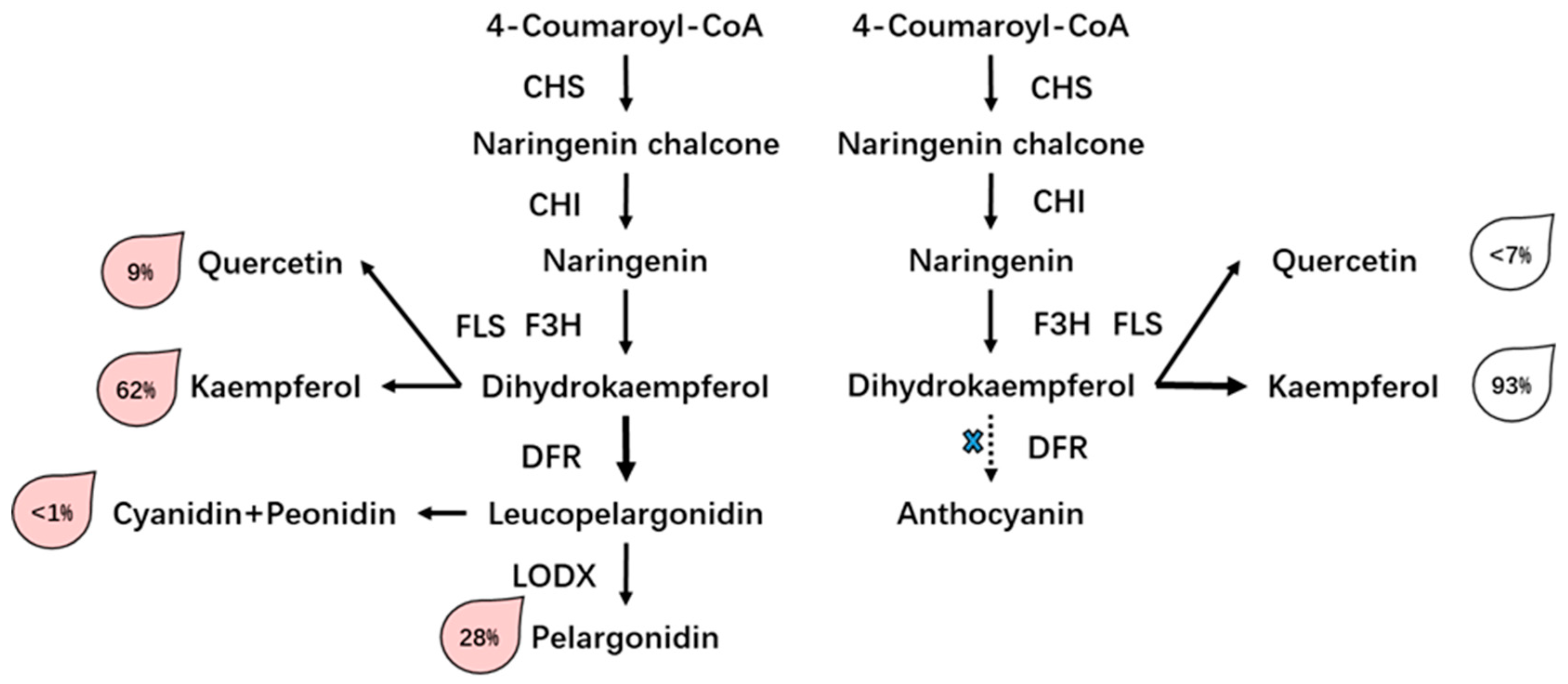 Plants 08 00267 g008