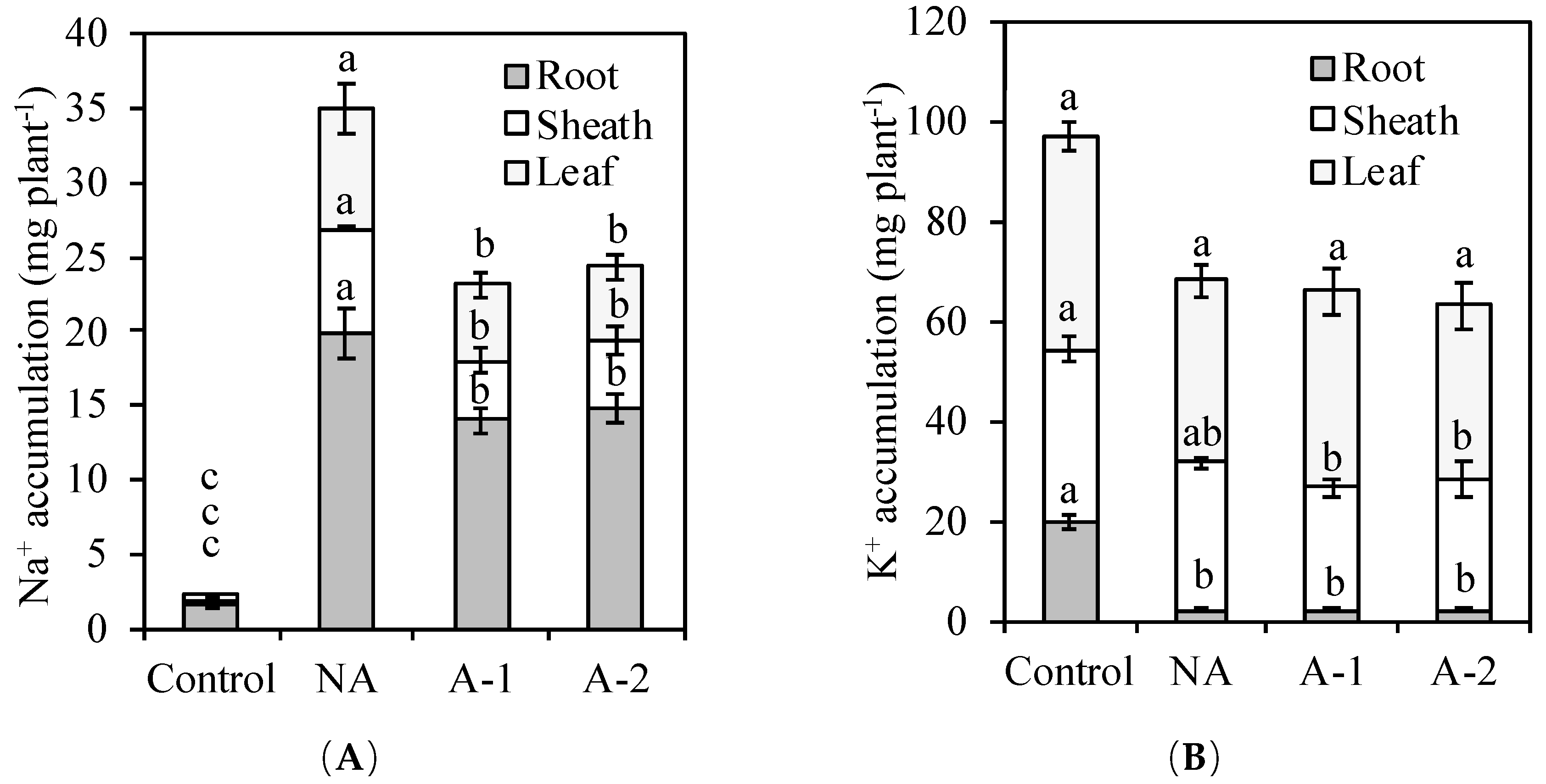 Plants 08 00314 g004