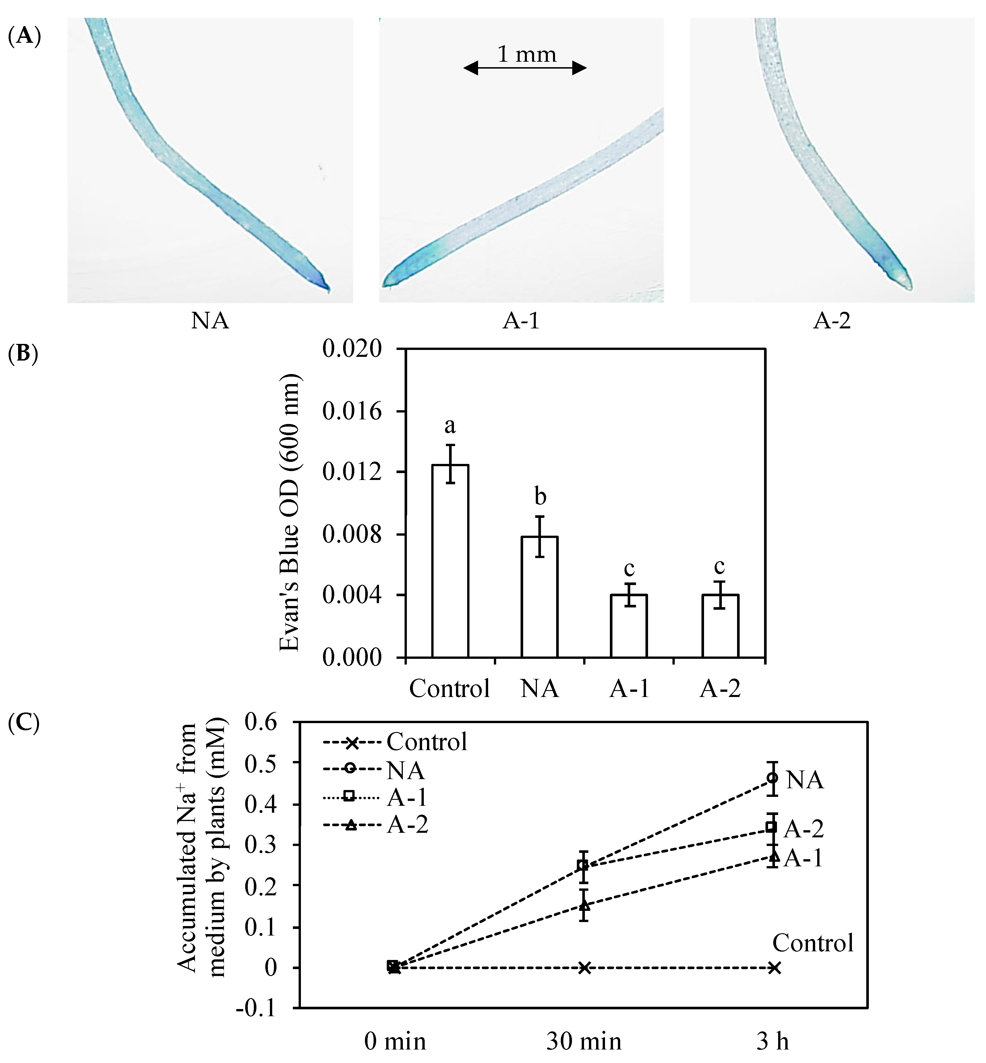 Plants 08 00314 g005