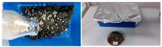 Plants 08 00316 g0a3