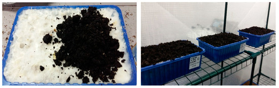 Plants 08 00316 g0a5