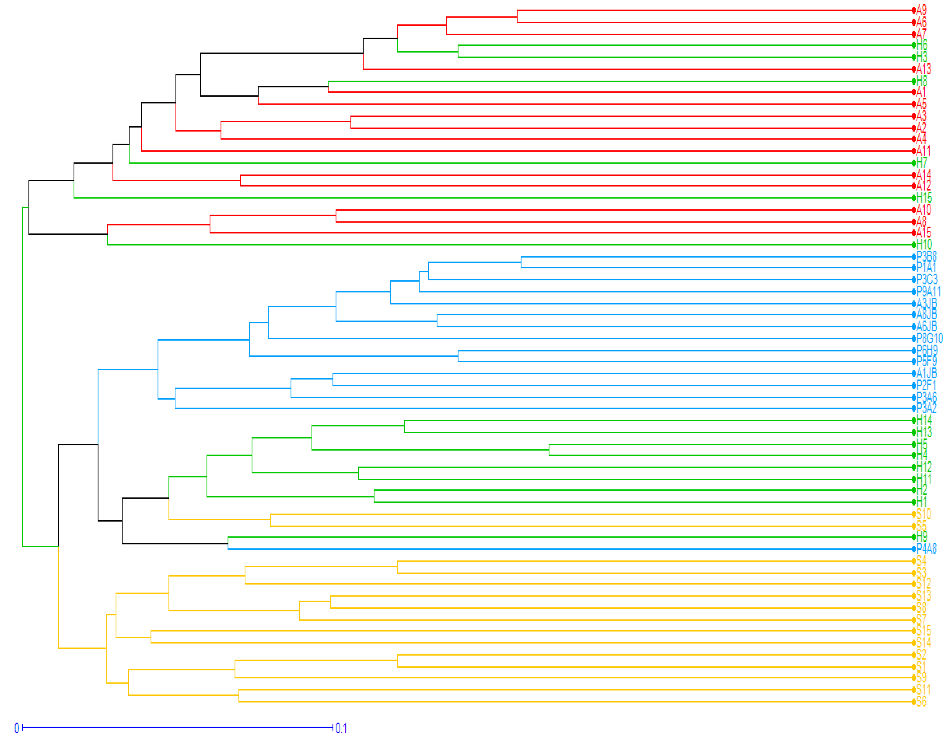Plants 08 00319 g004