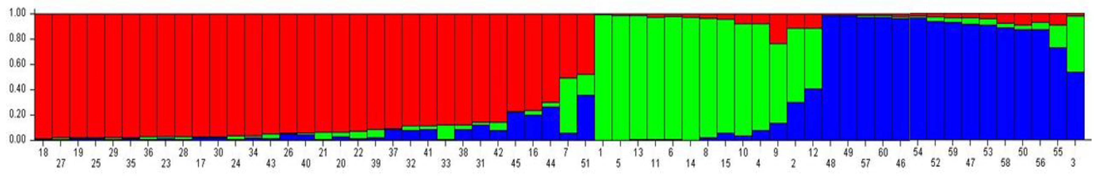 Plants 08 00319 g006