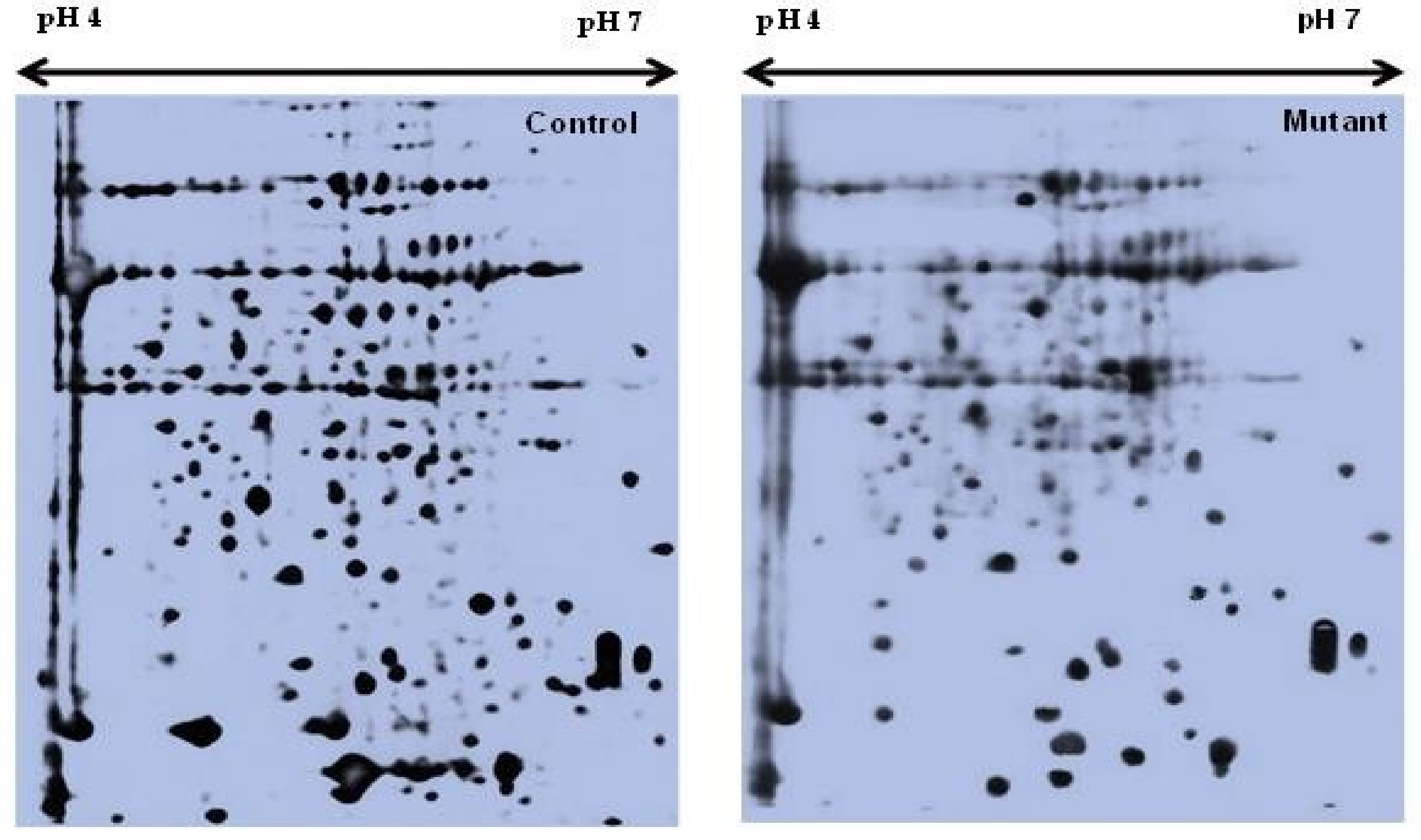 Plants 08 00321 g001