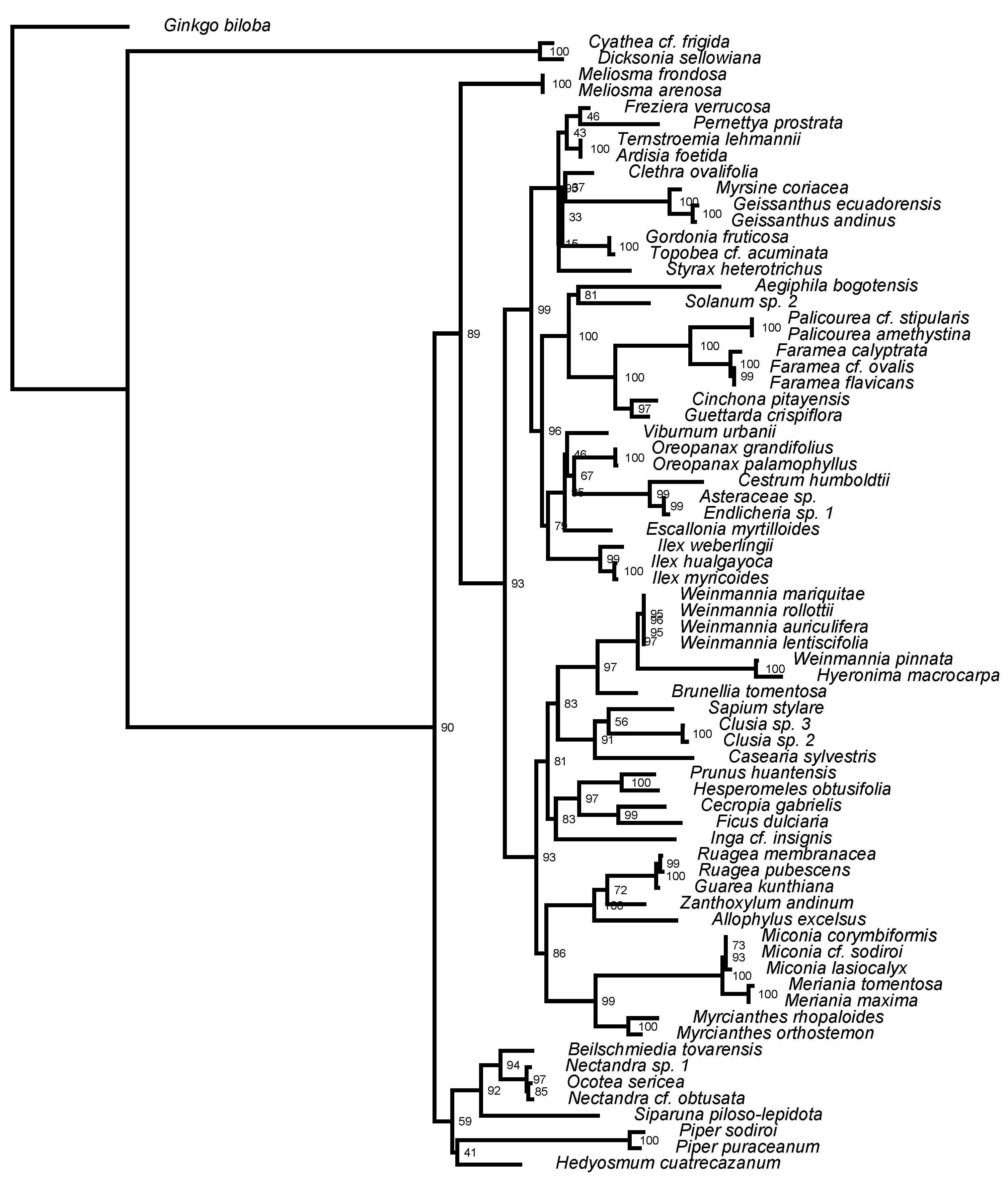 Plants 08 00326 g003