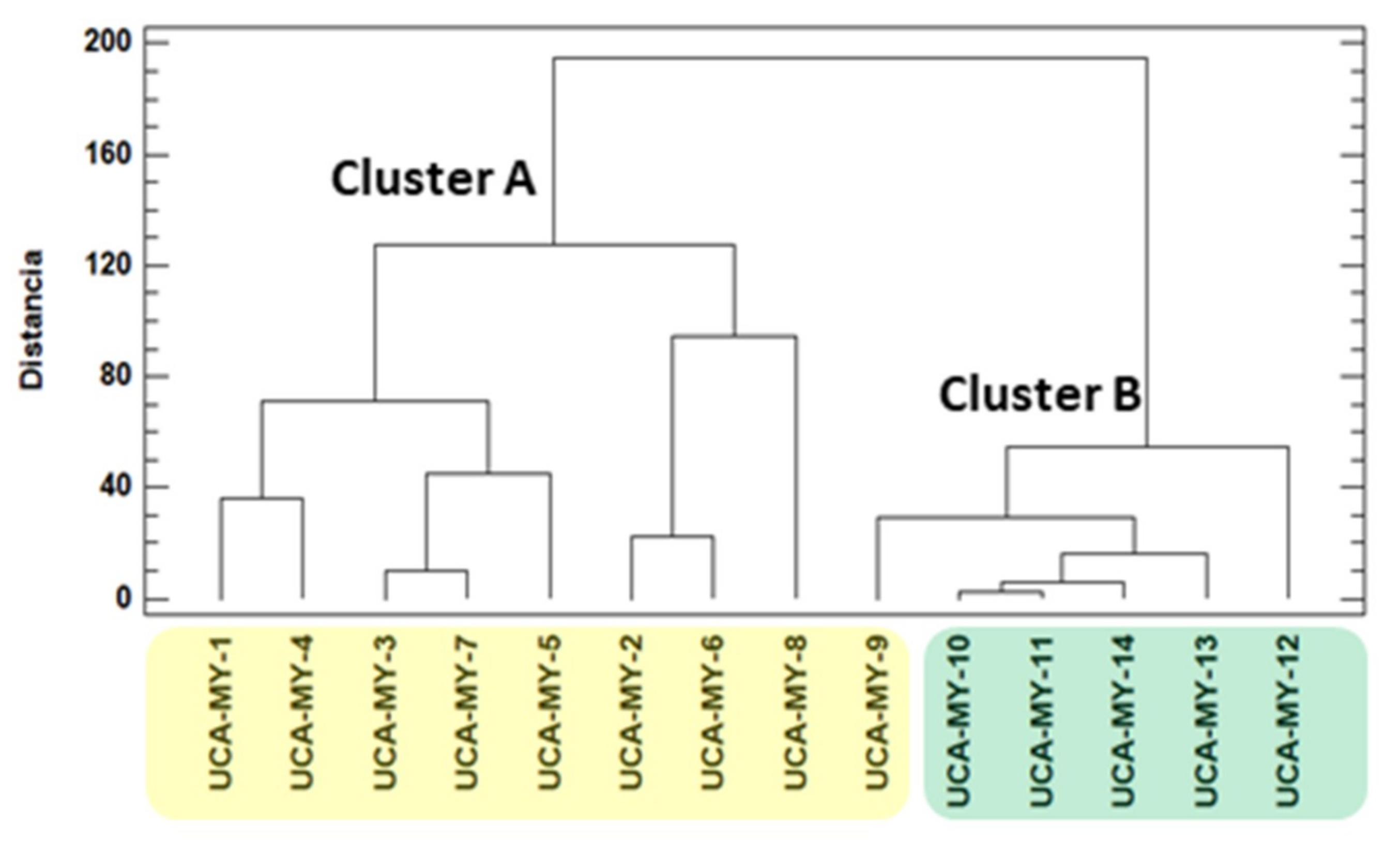 Plants 08 00328 g001