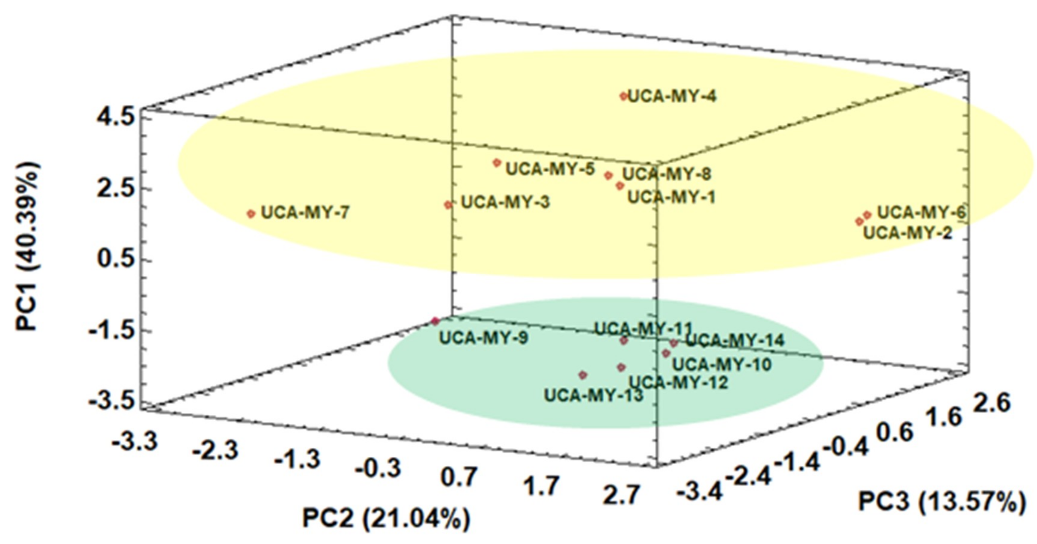 Plants 08 00328 g002