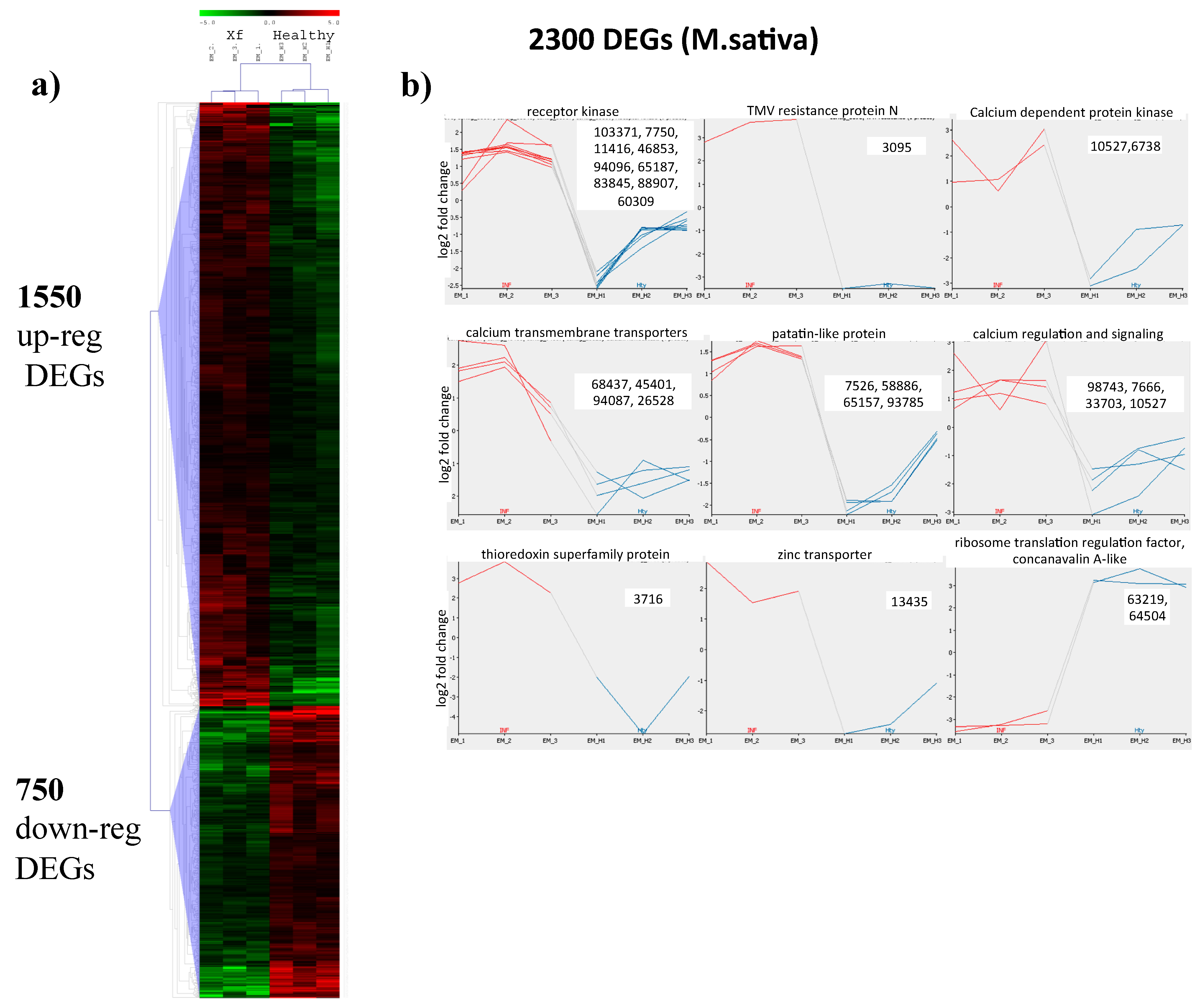 Plants 08 00335 g003