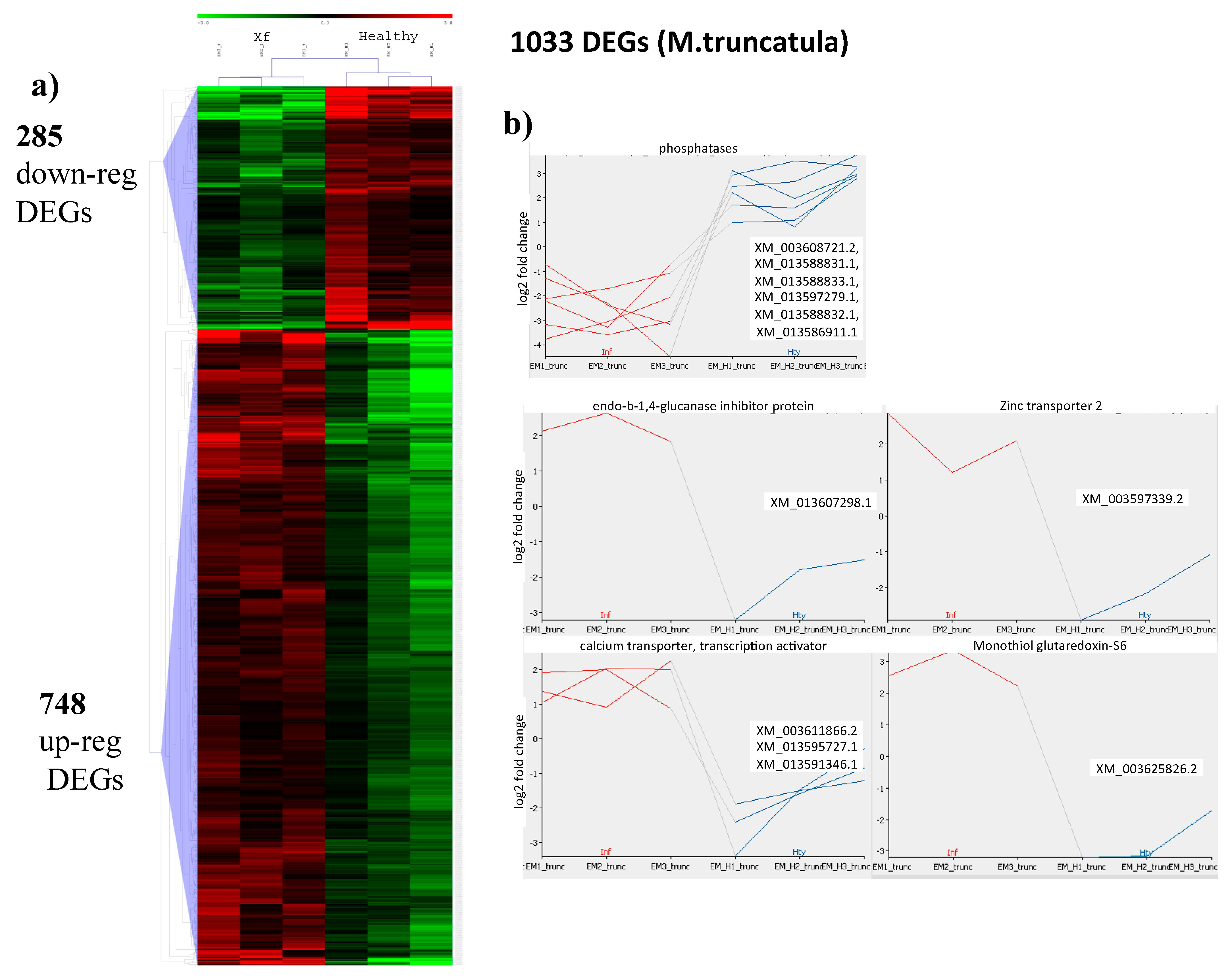 Plants 08 00335 g004