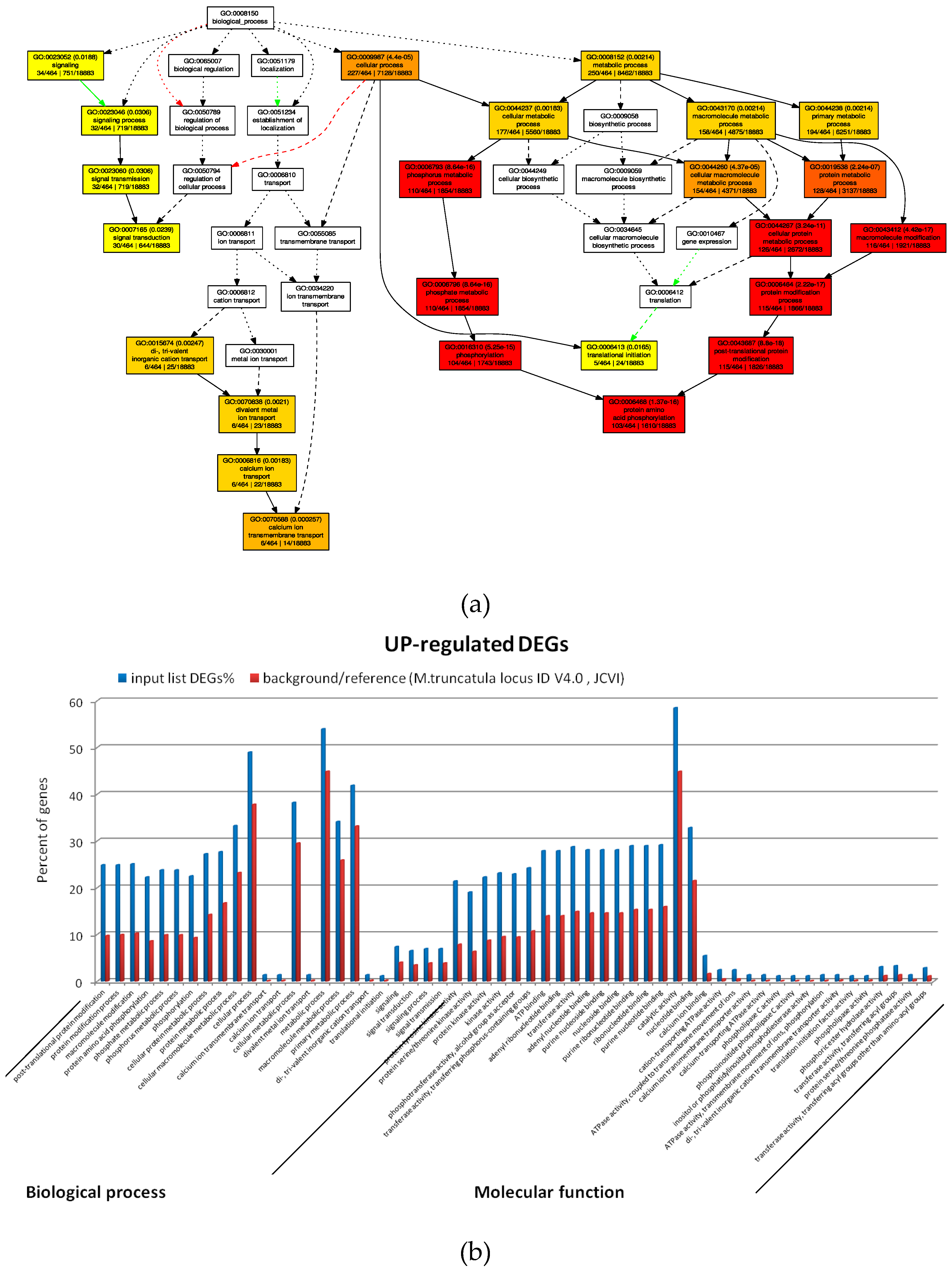 Plants 08 00335 g005a