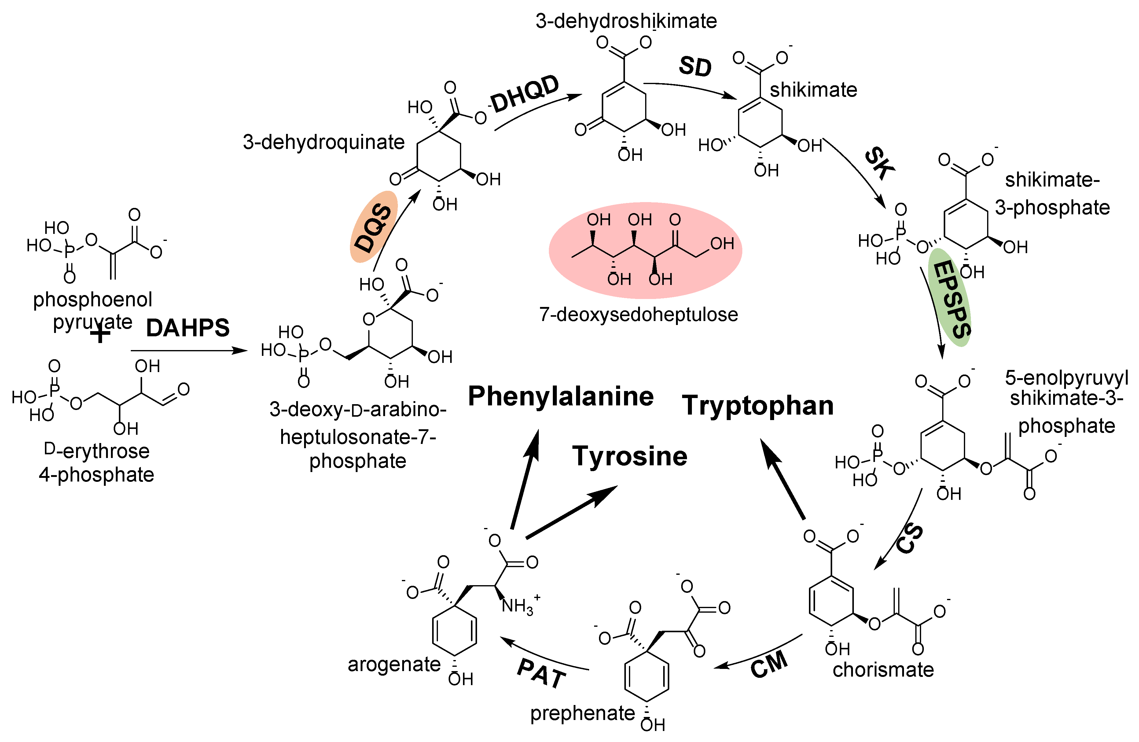 Plants 08 00341 g006