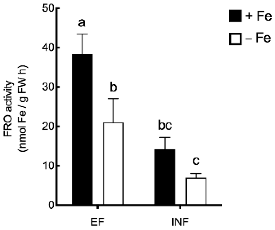 Plants 08 00348 g006