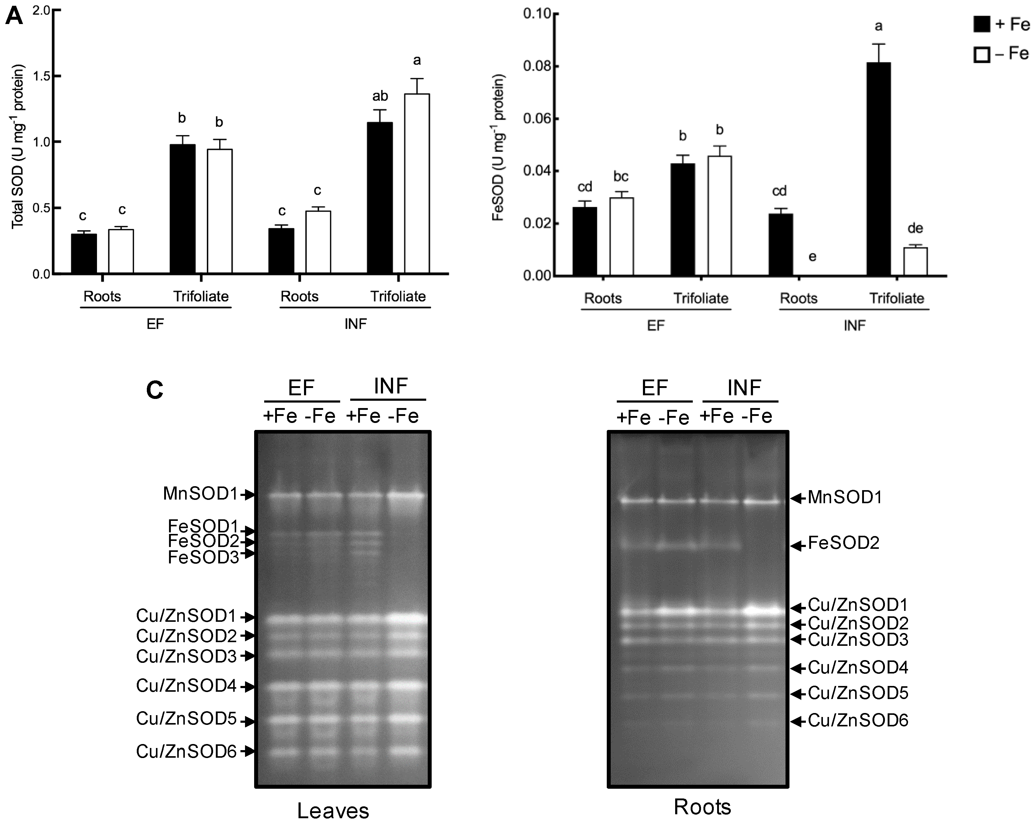 Plants 08 00348 g007