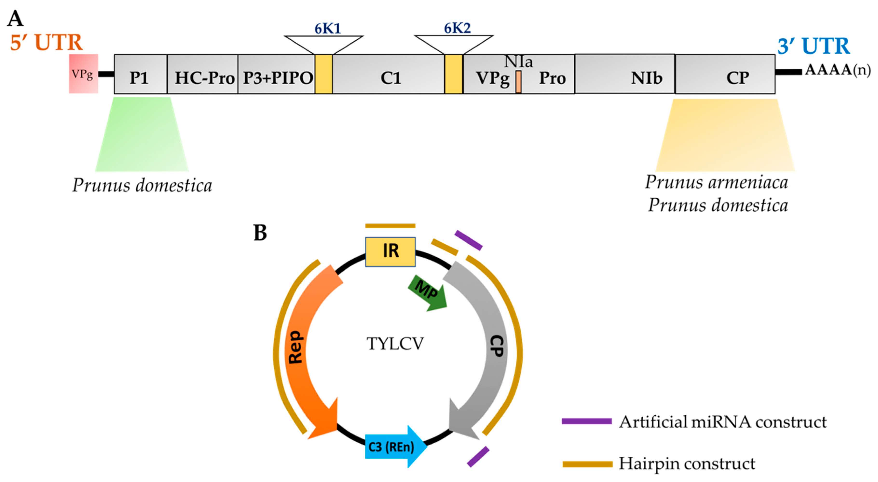 Plants 08 00359 g002