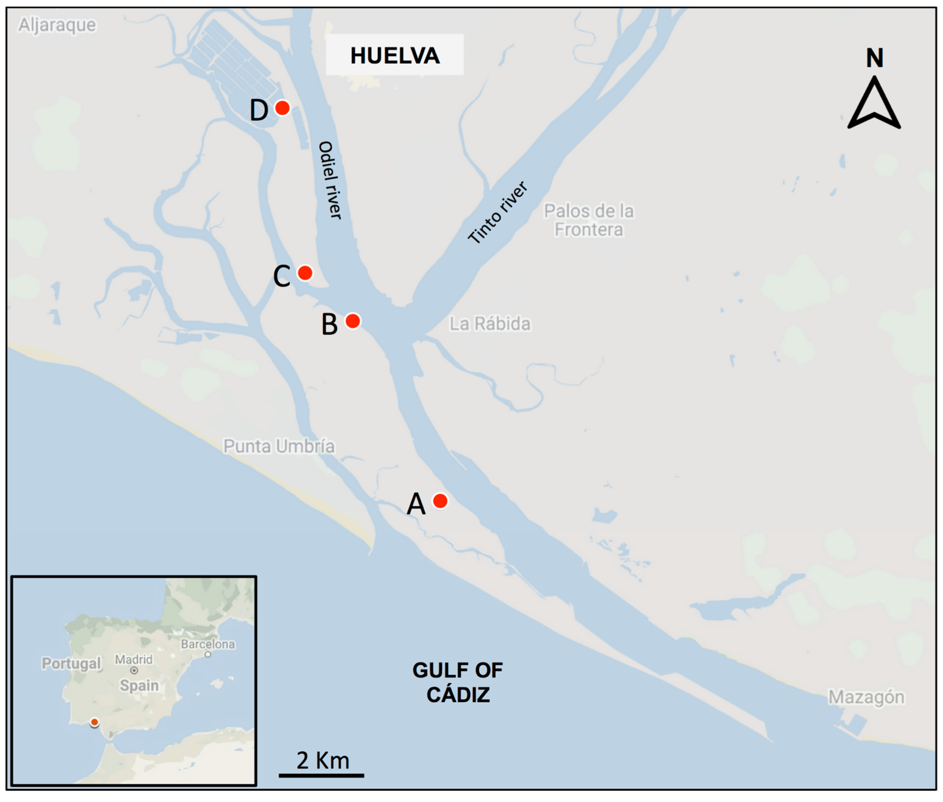 Plants 08 00372 g004