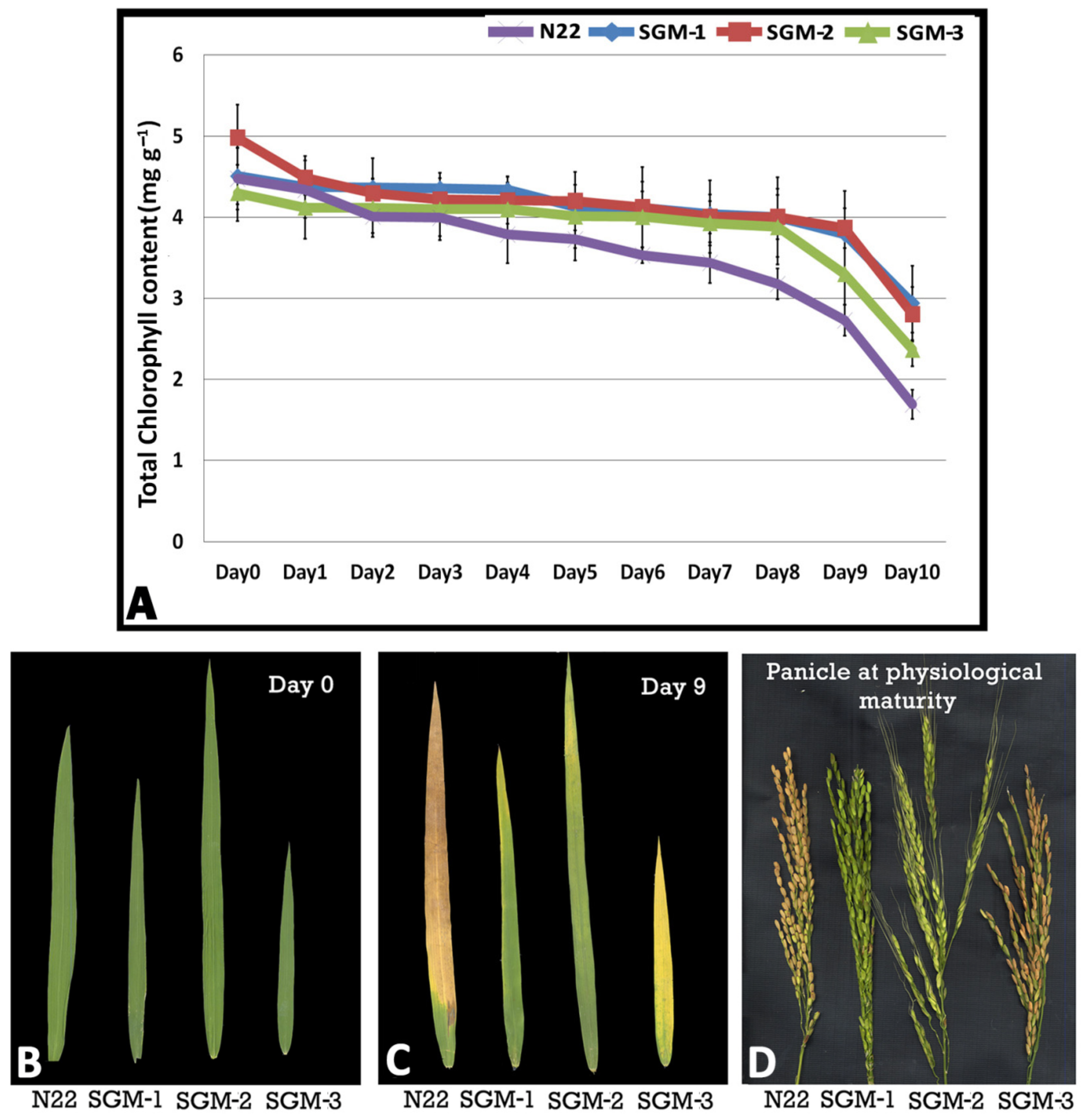 Plants 08 00375 g001 Plants 08 00375 g001