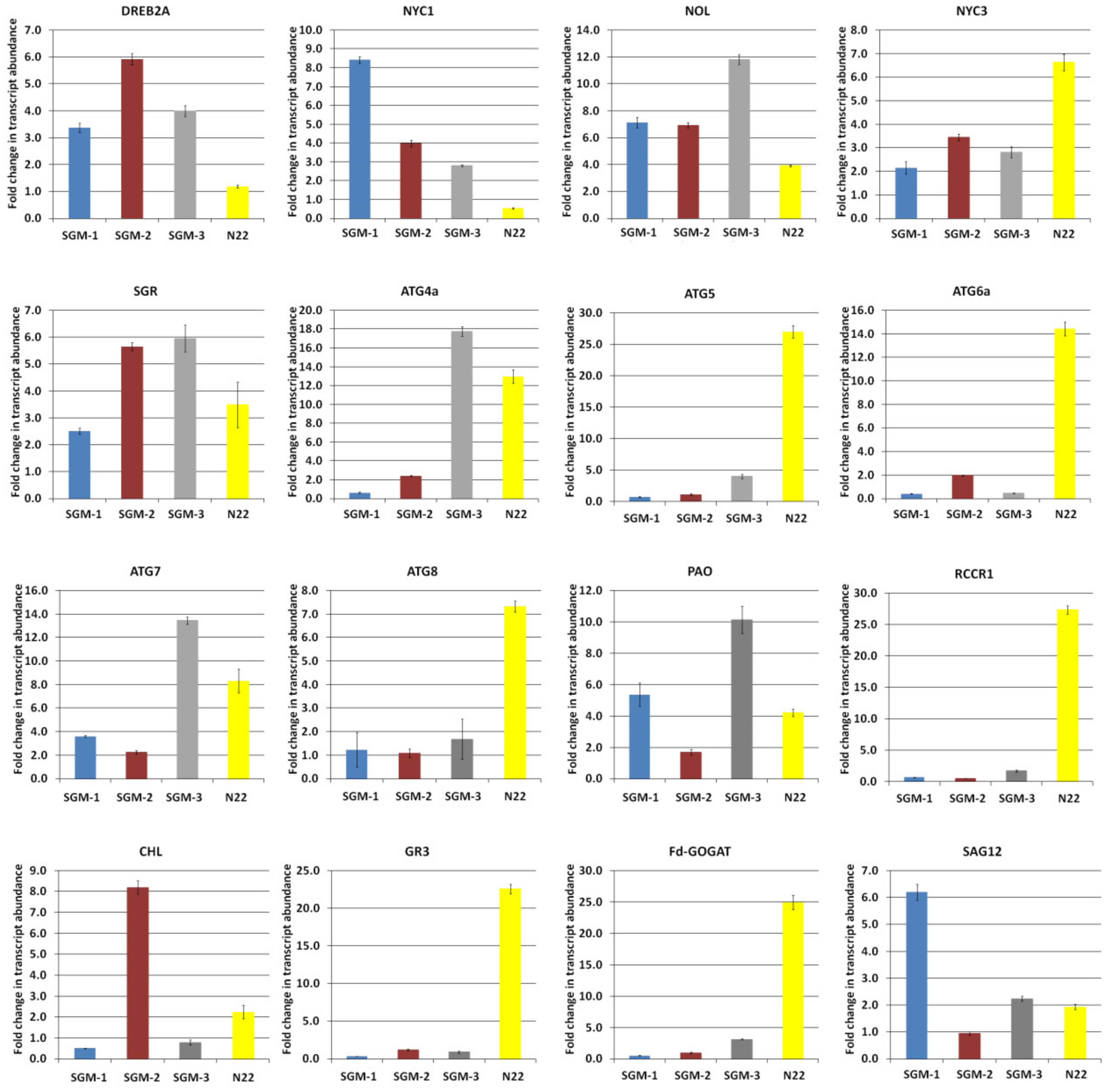 Plants 08 00375 g007 Plants 08 00375 g007