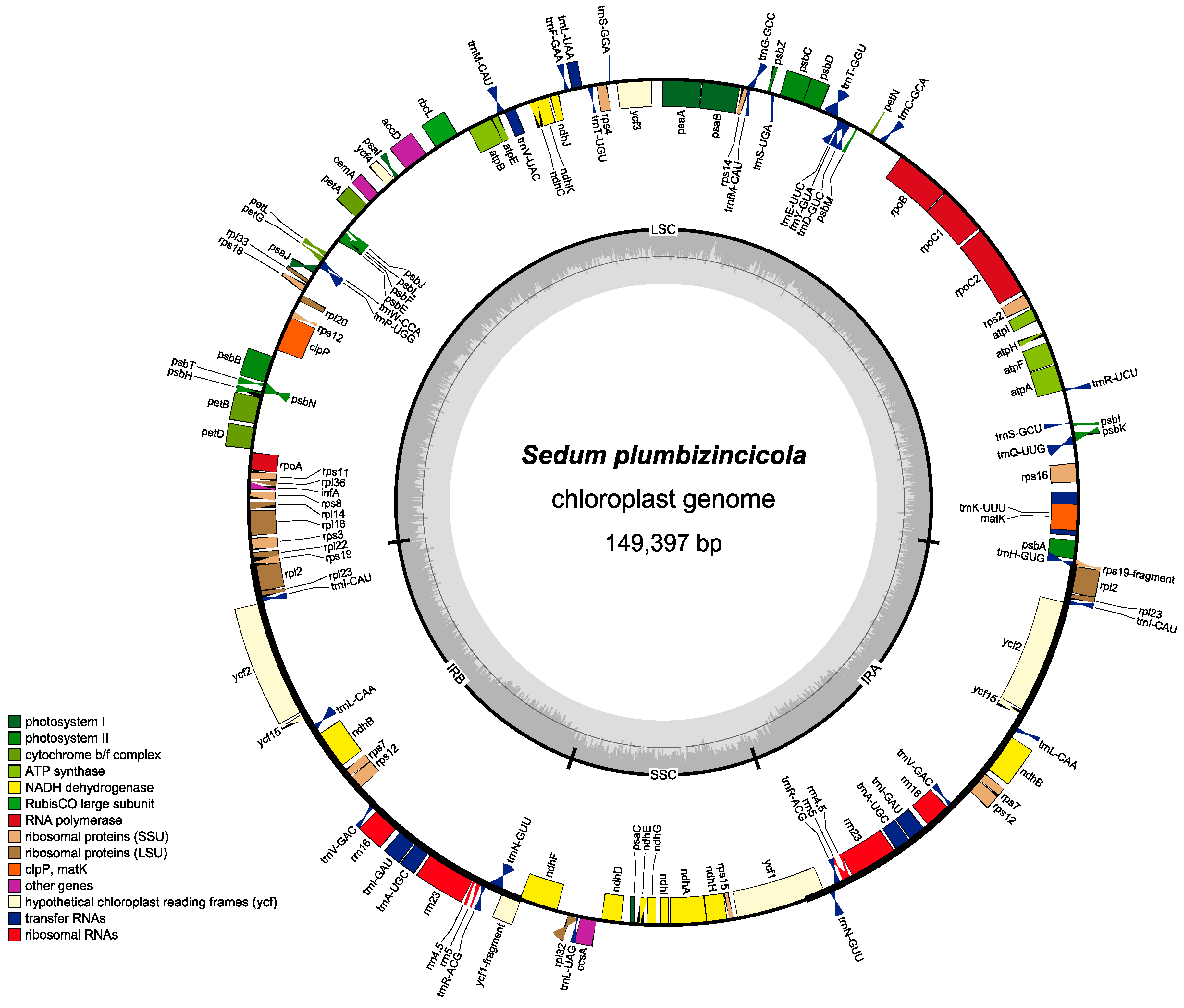 Plants 08 00386 g001