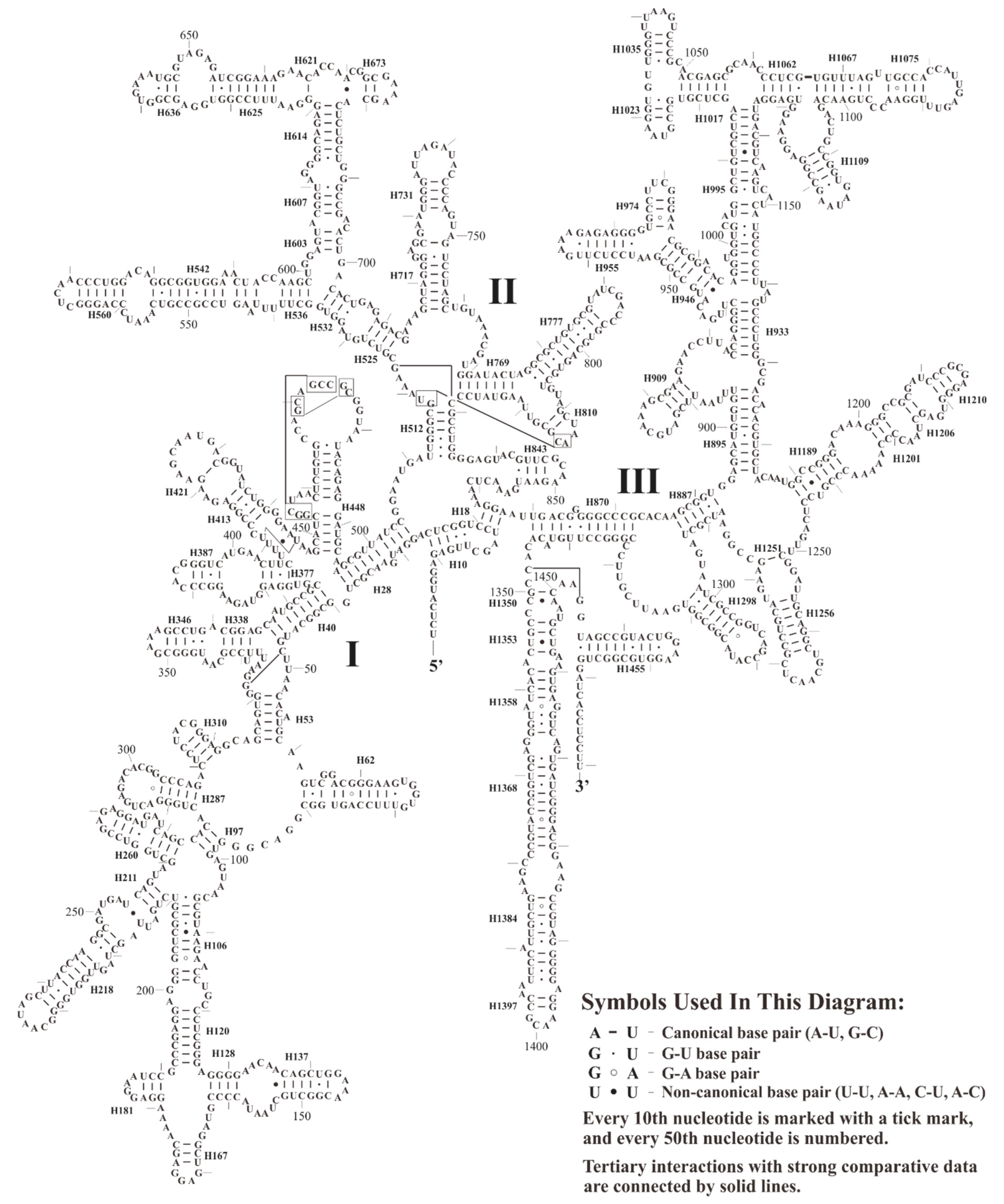 Plants 08 00386 g002