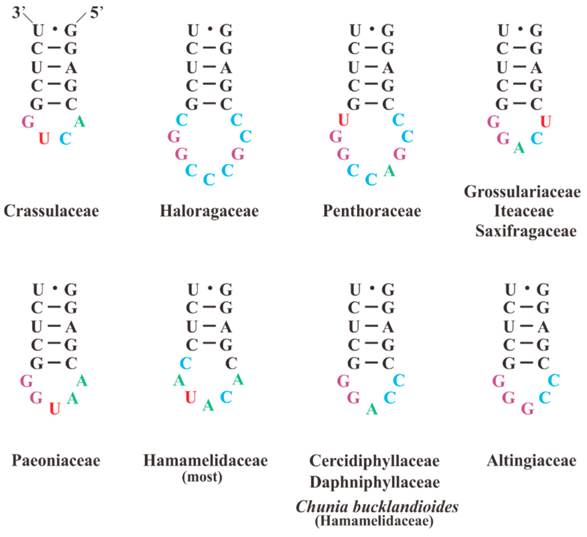 Plants 08 00386 g004