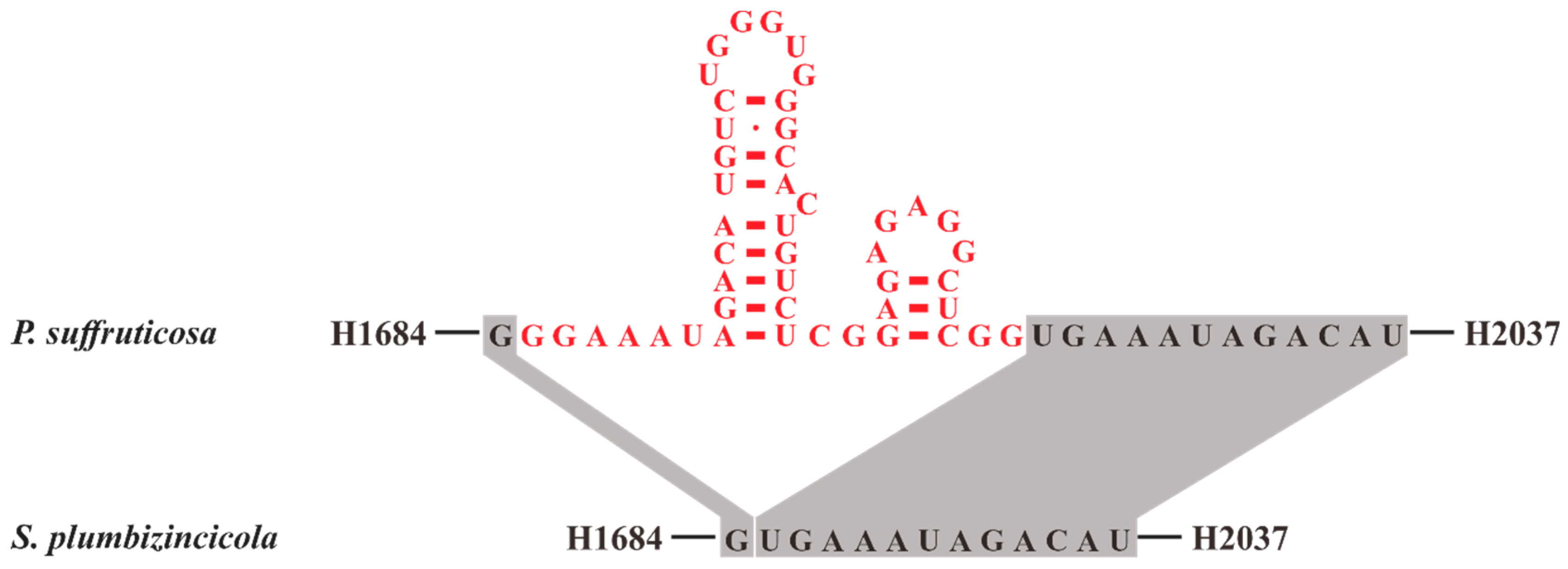 Plants 08 00386 g005