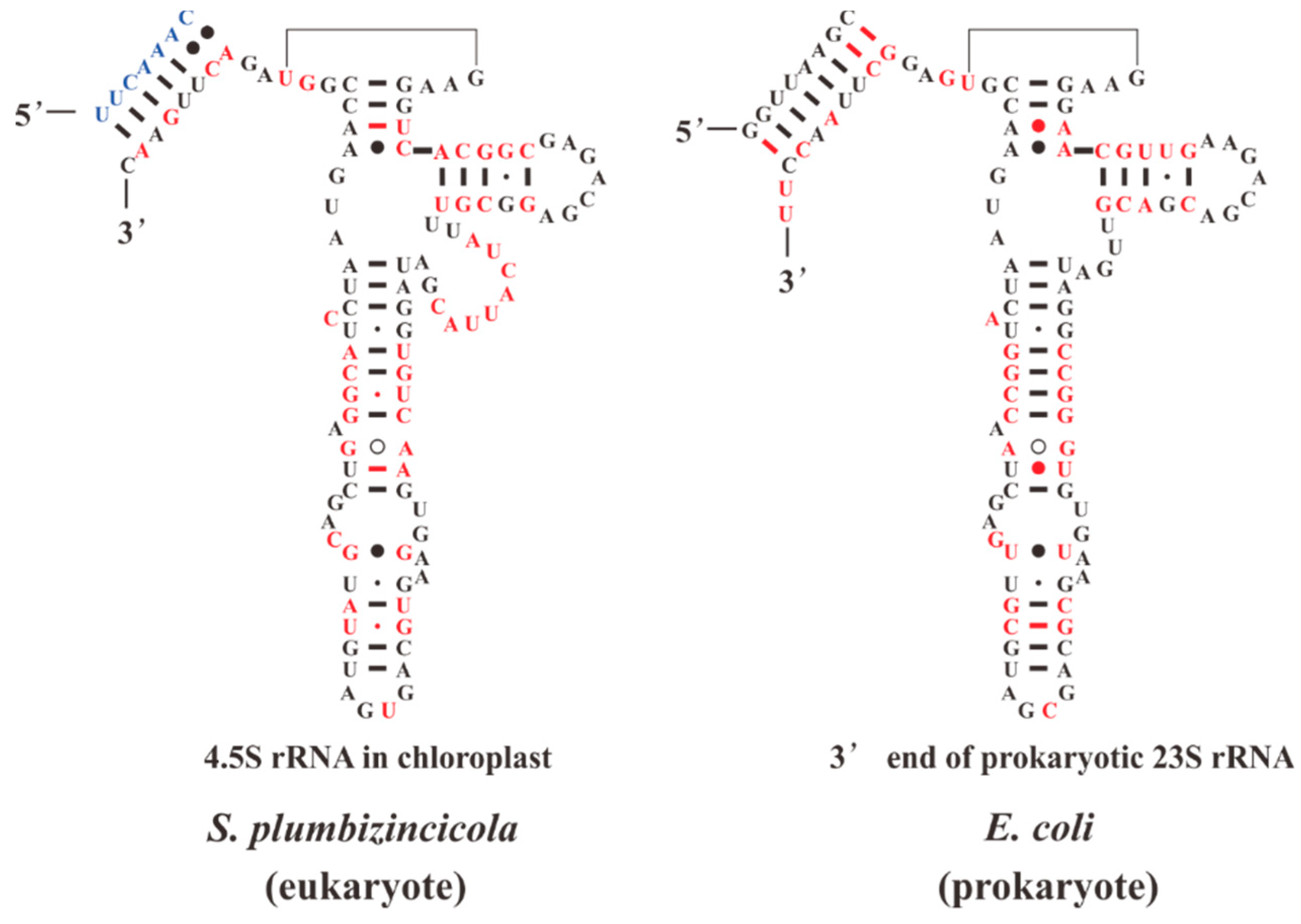 Plants 08 00386 g006