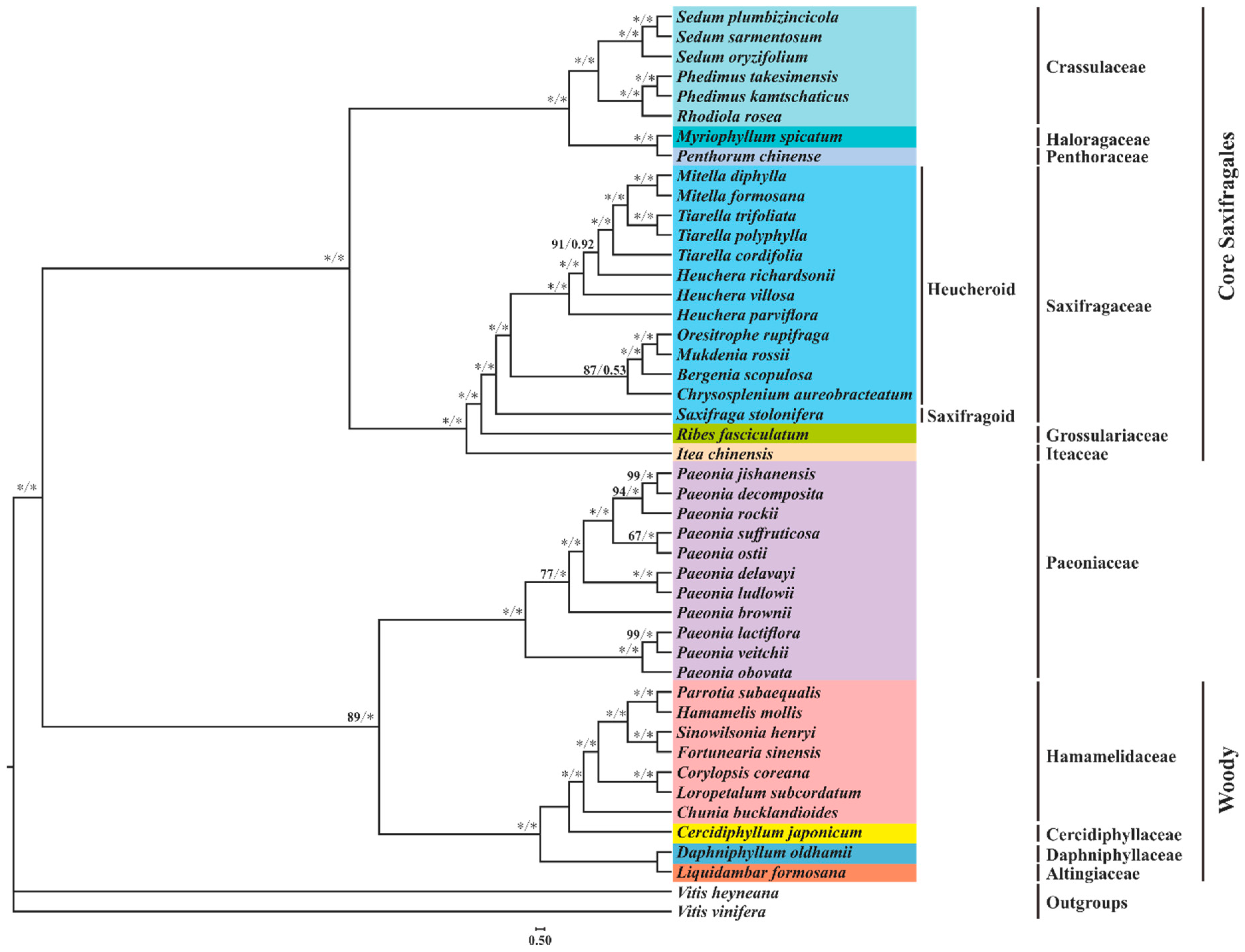 Plants 08 00386 g009