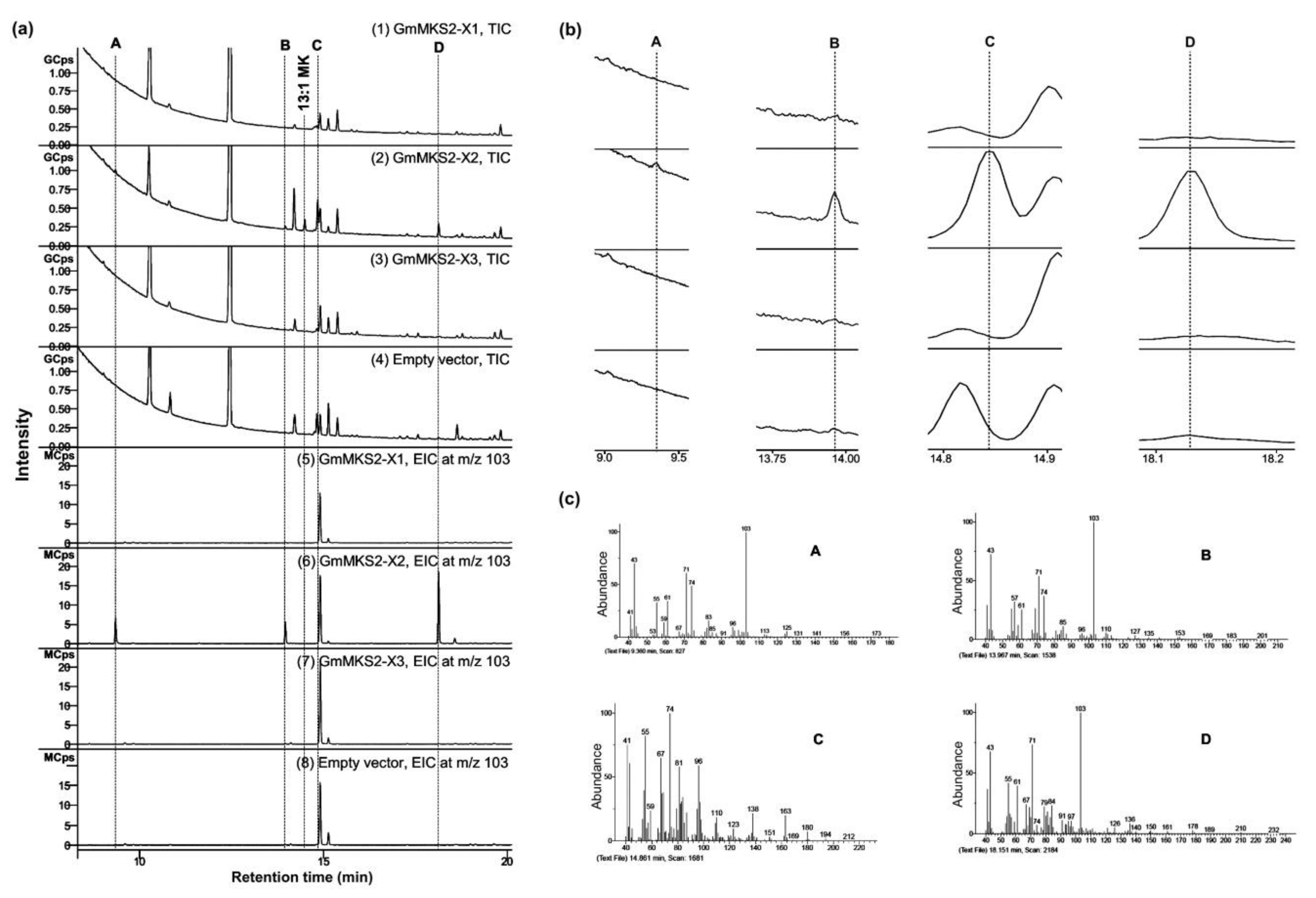 Plants 08 00397 g003