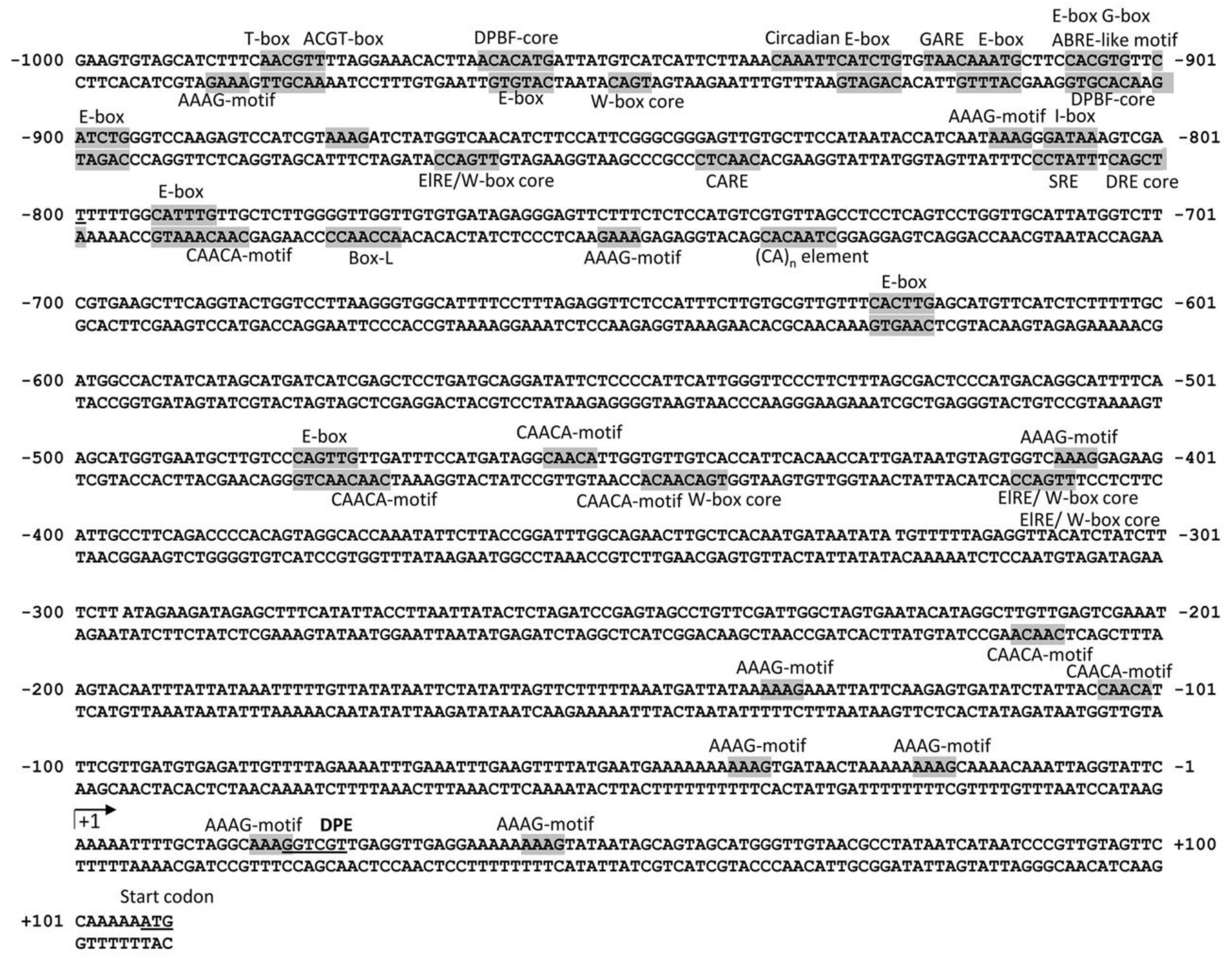 Plants 08 00397 g005