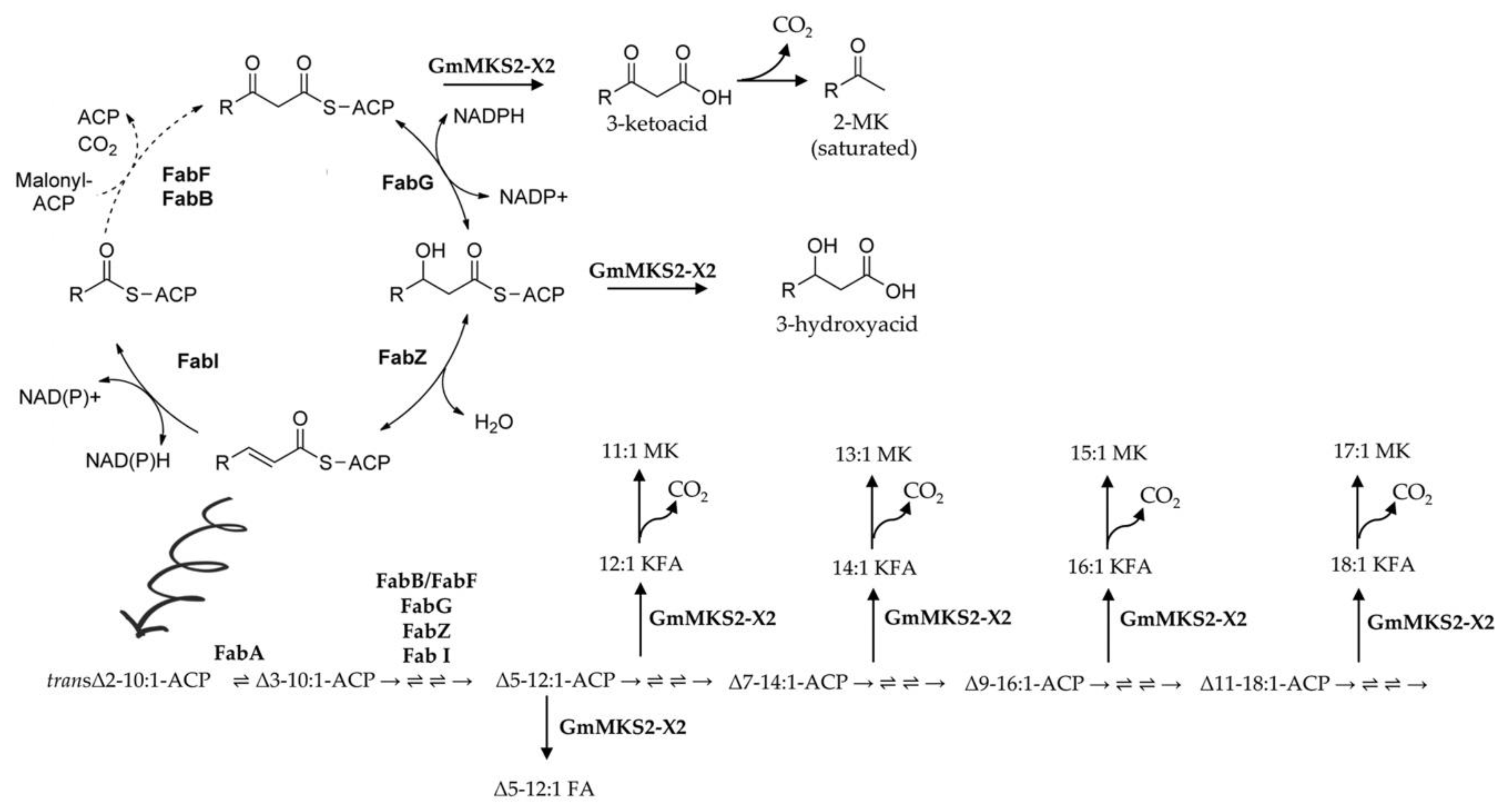 Plants 08 00397 g006