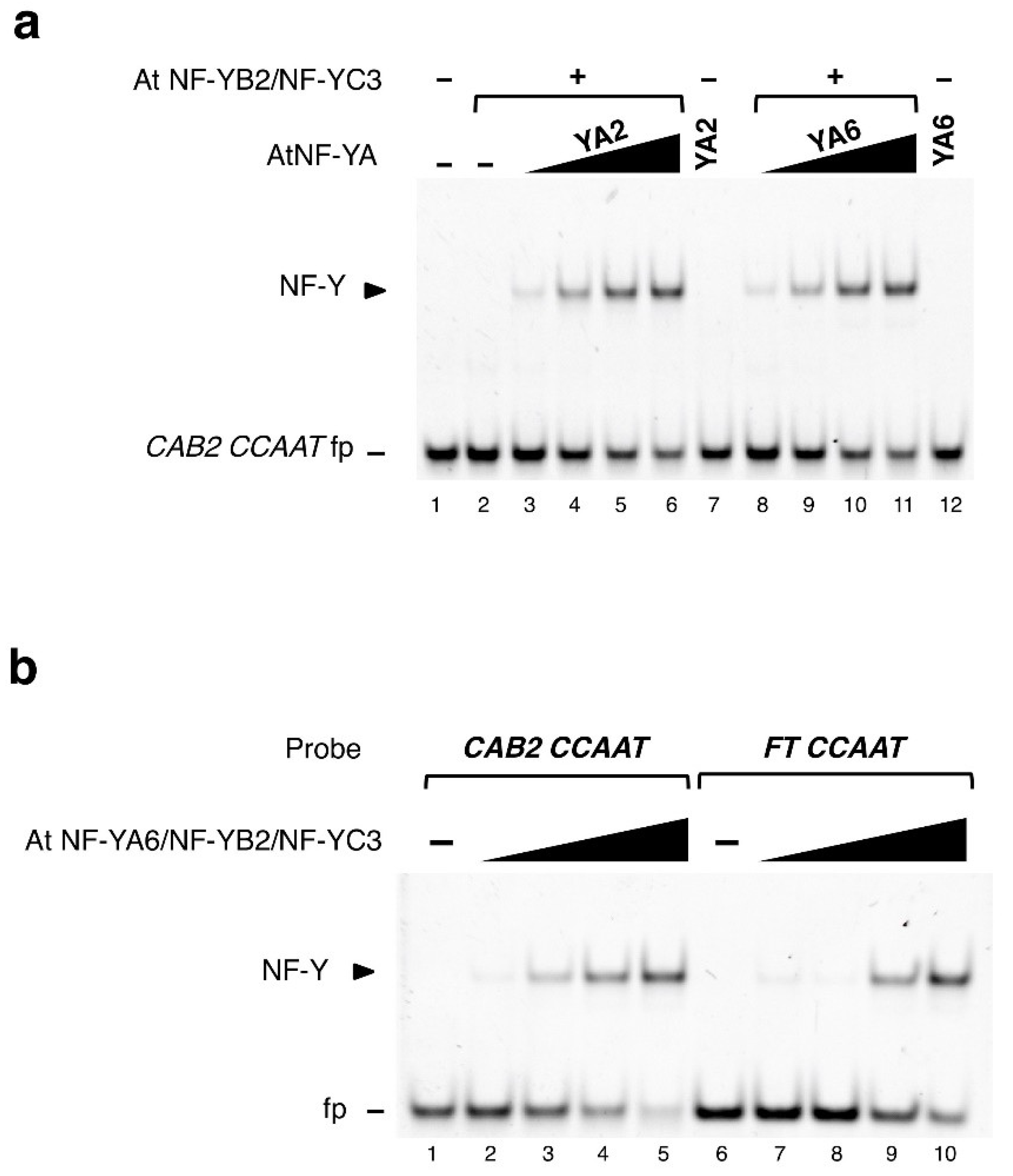 Plants 08 00406 g001